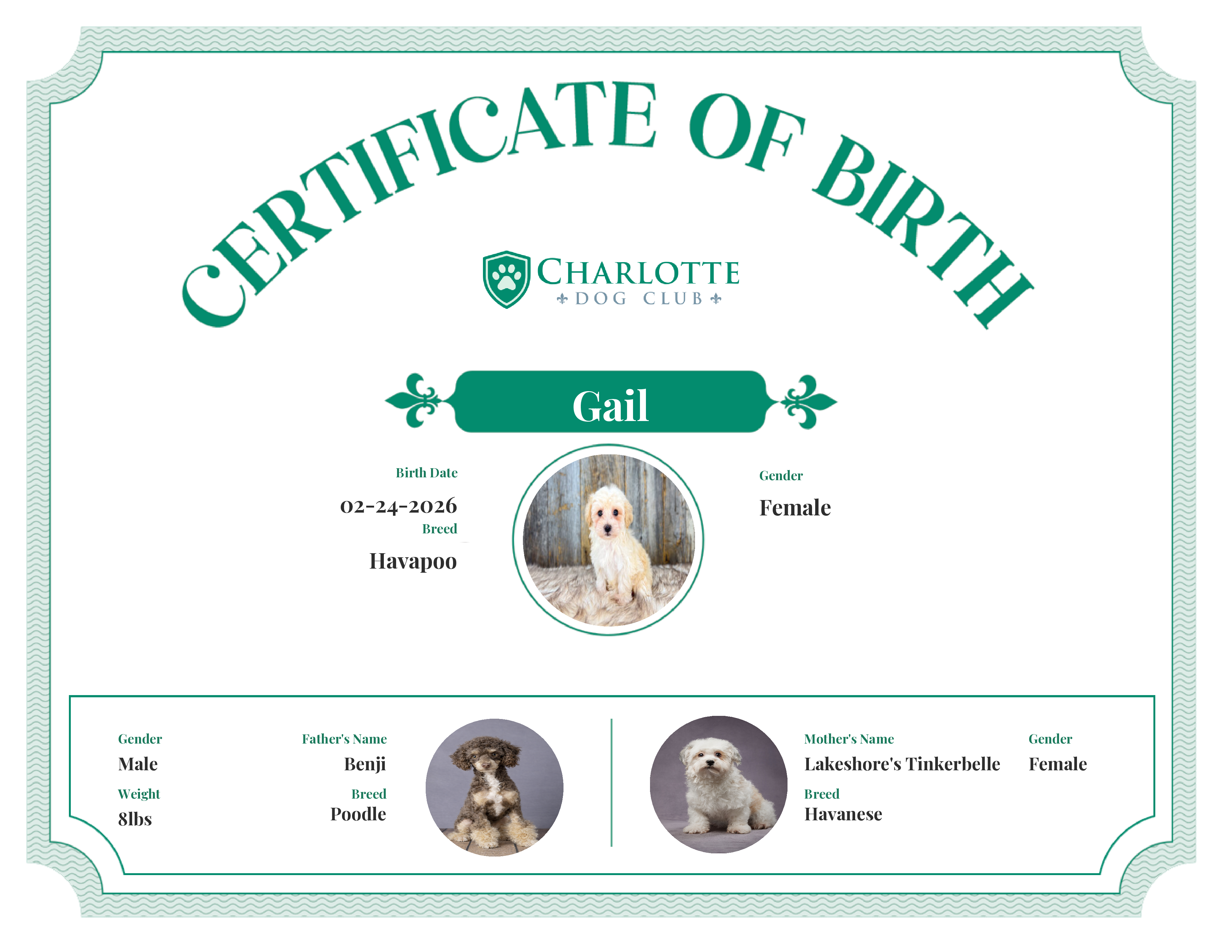 Gail's Birth Certificate