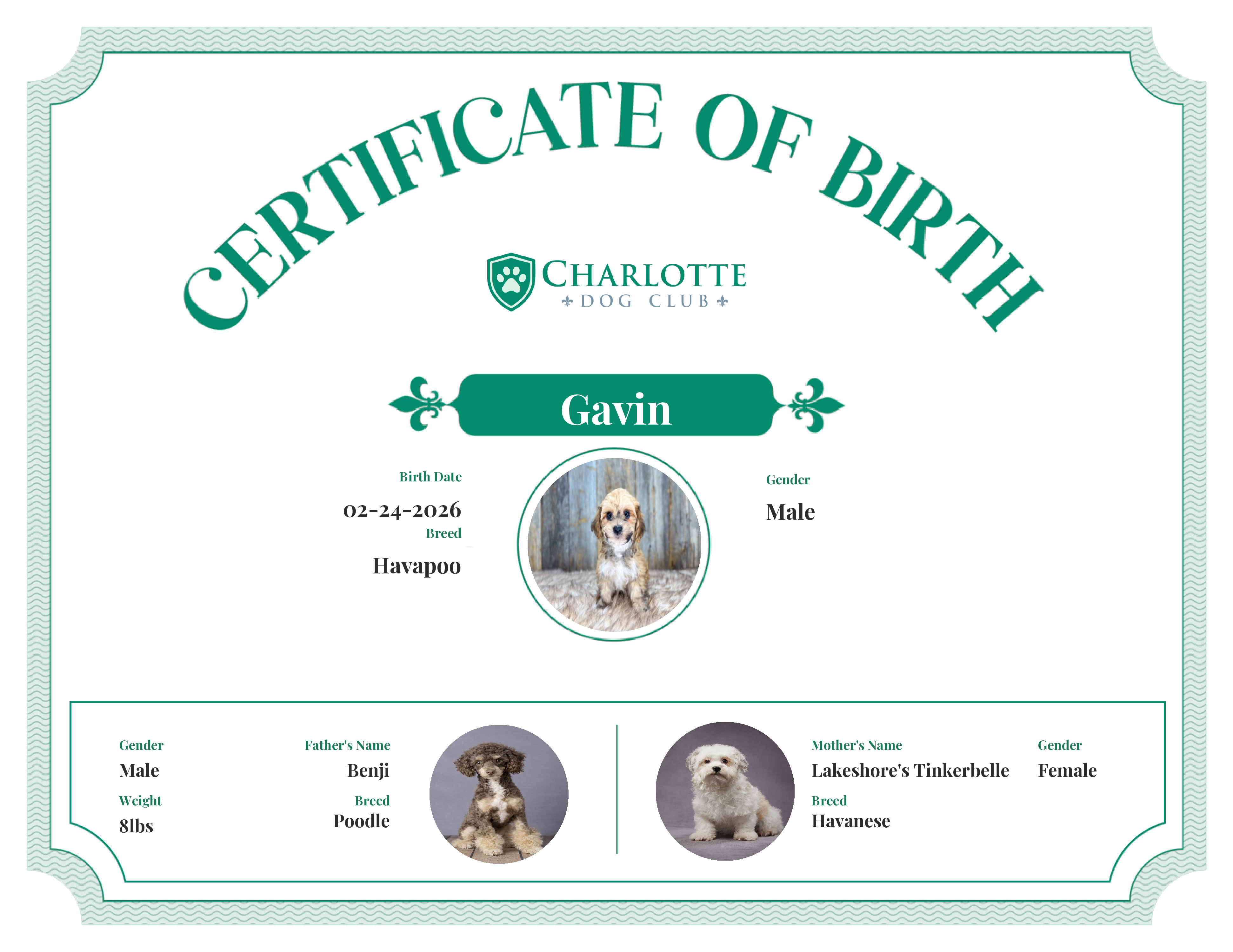 Gavin's Birth Certificate