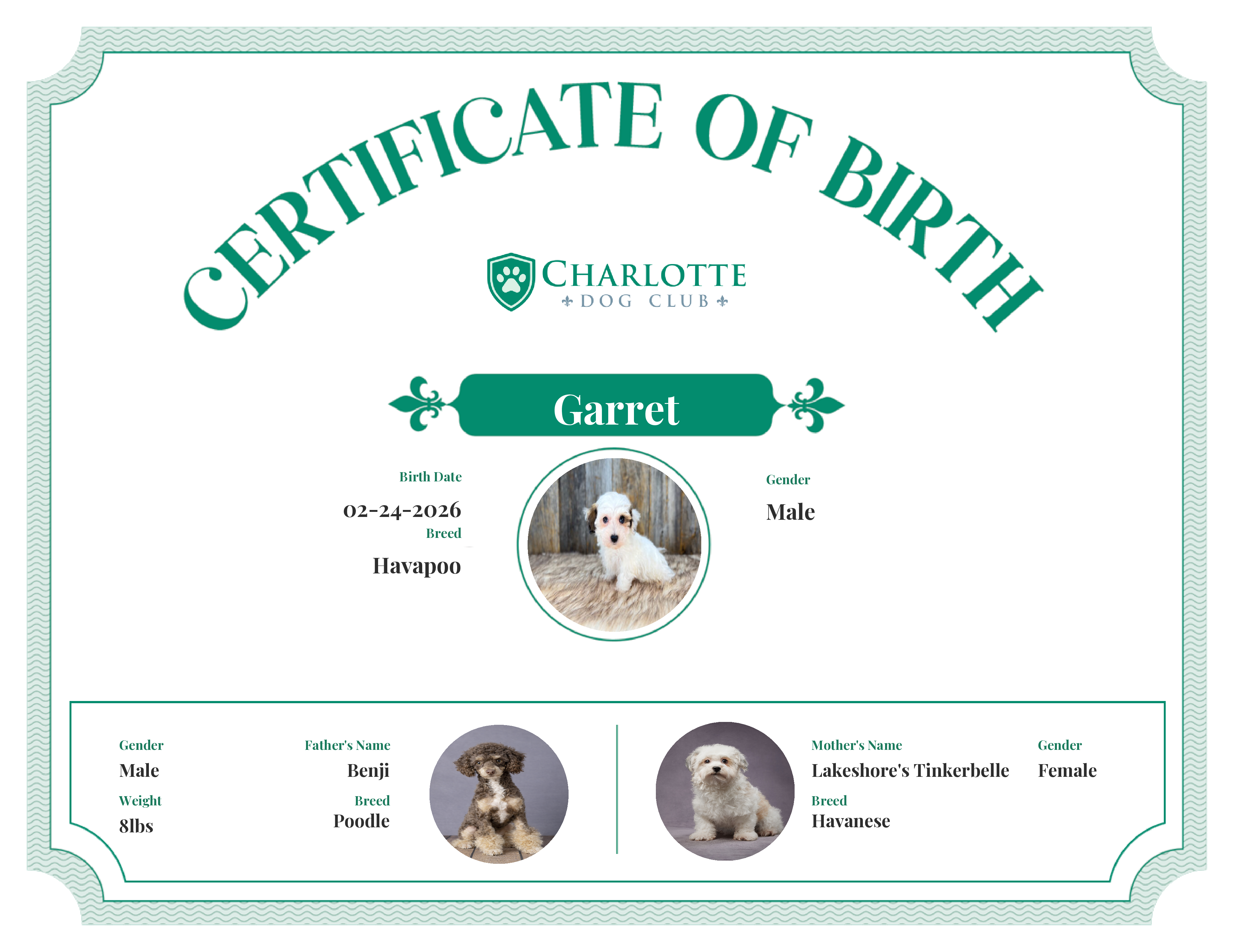 Garret's Birth Certificate