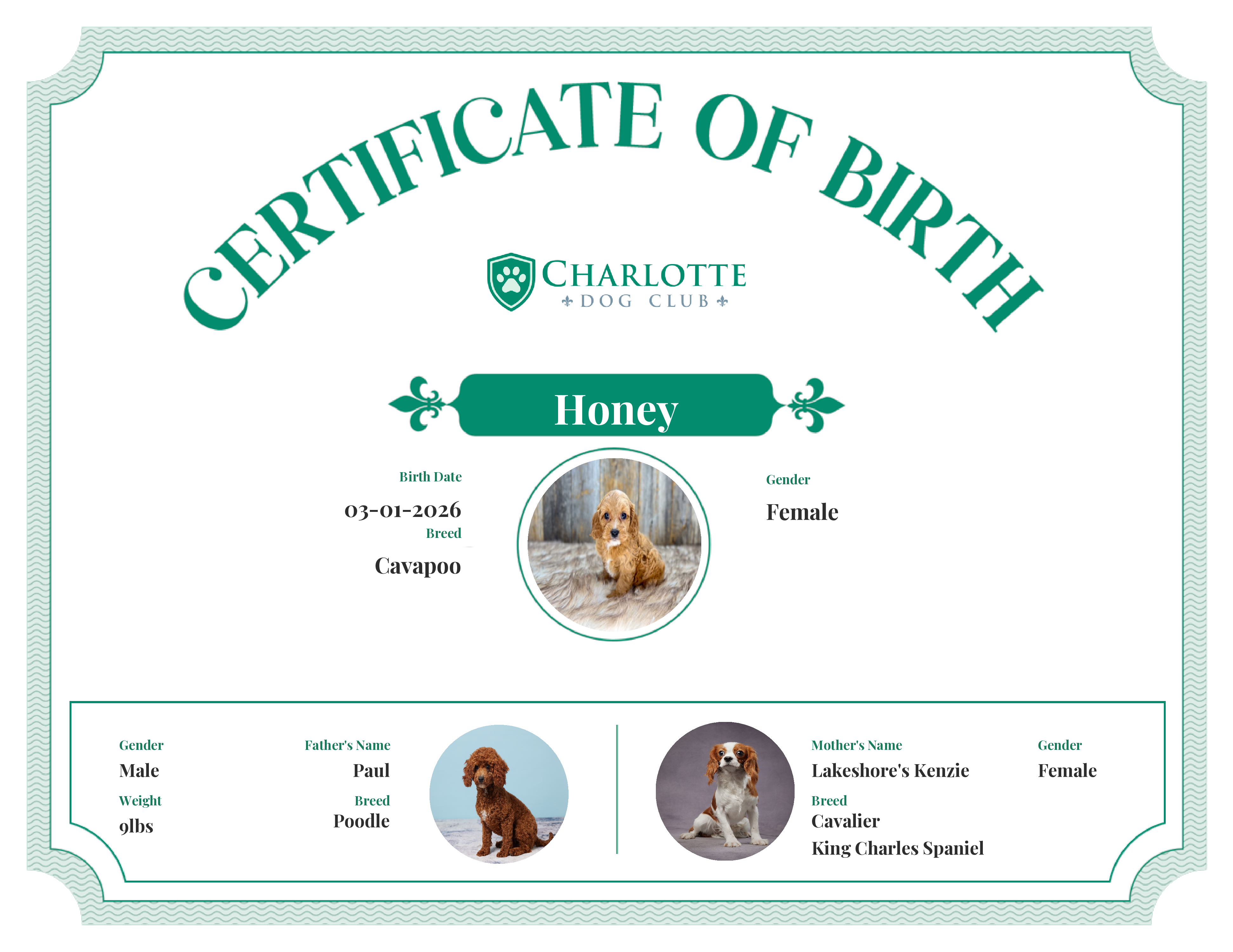 Honey's Birth Certificate