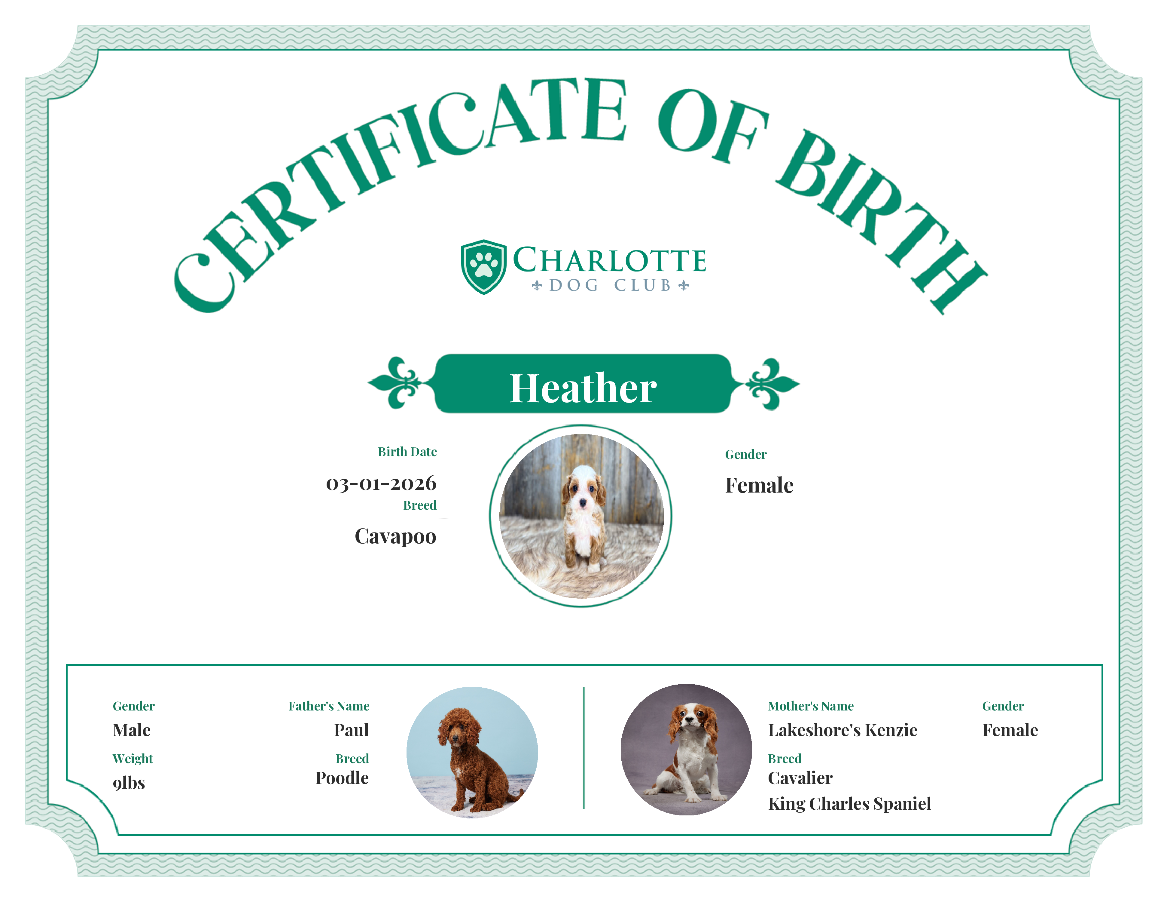 Heather's Birth Certificate