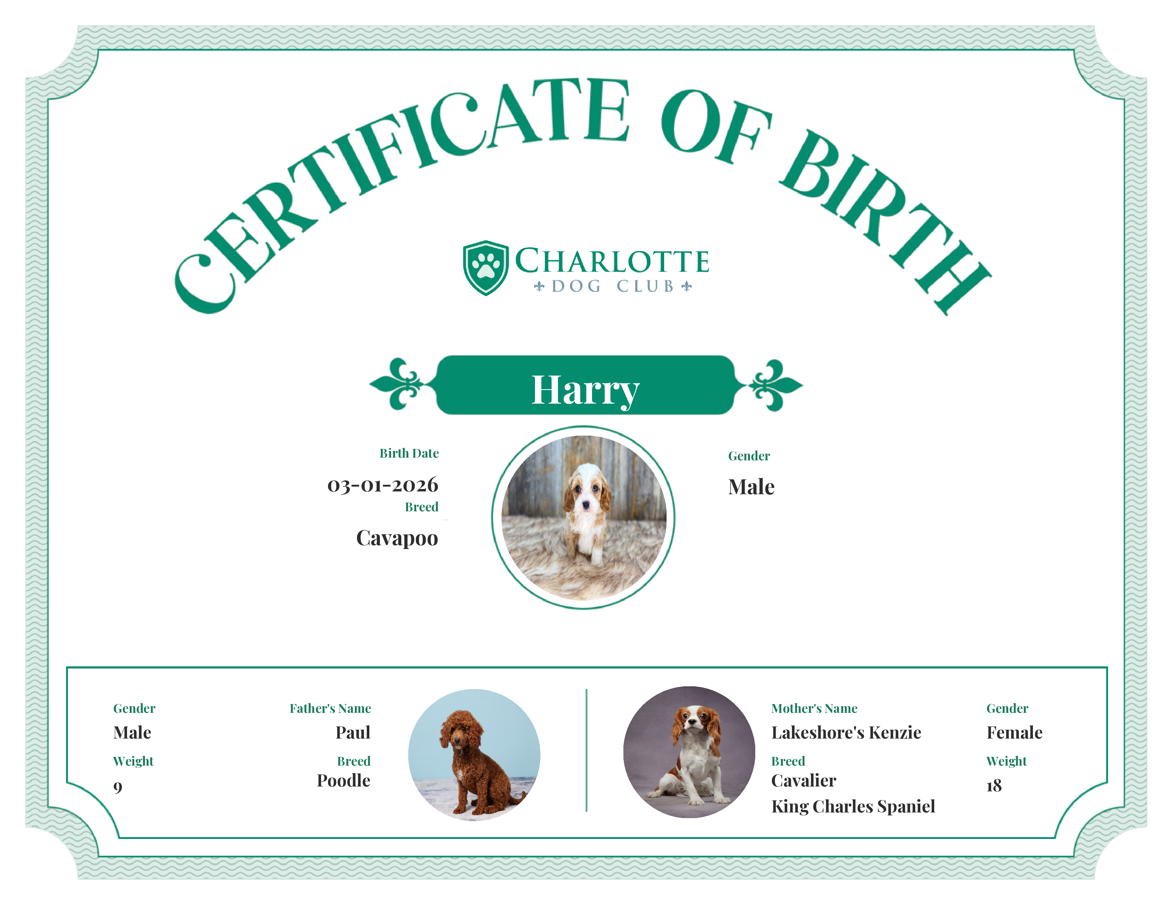 Harry's Birth Certificate