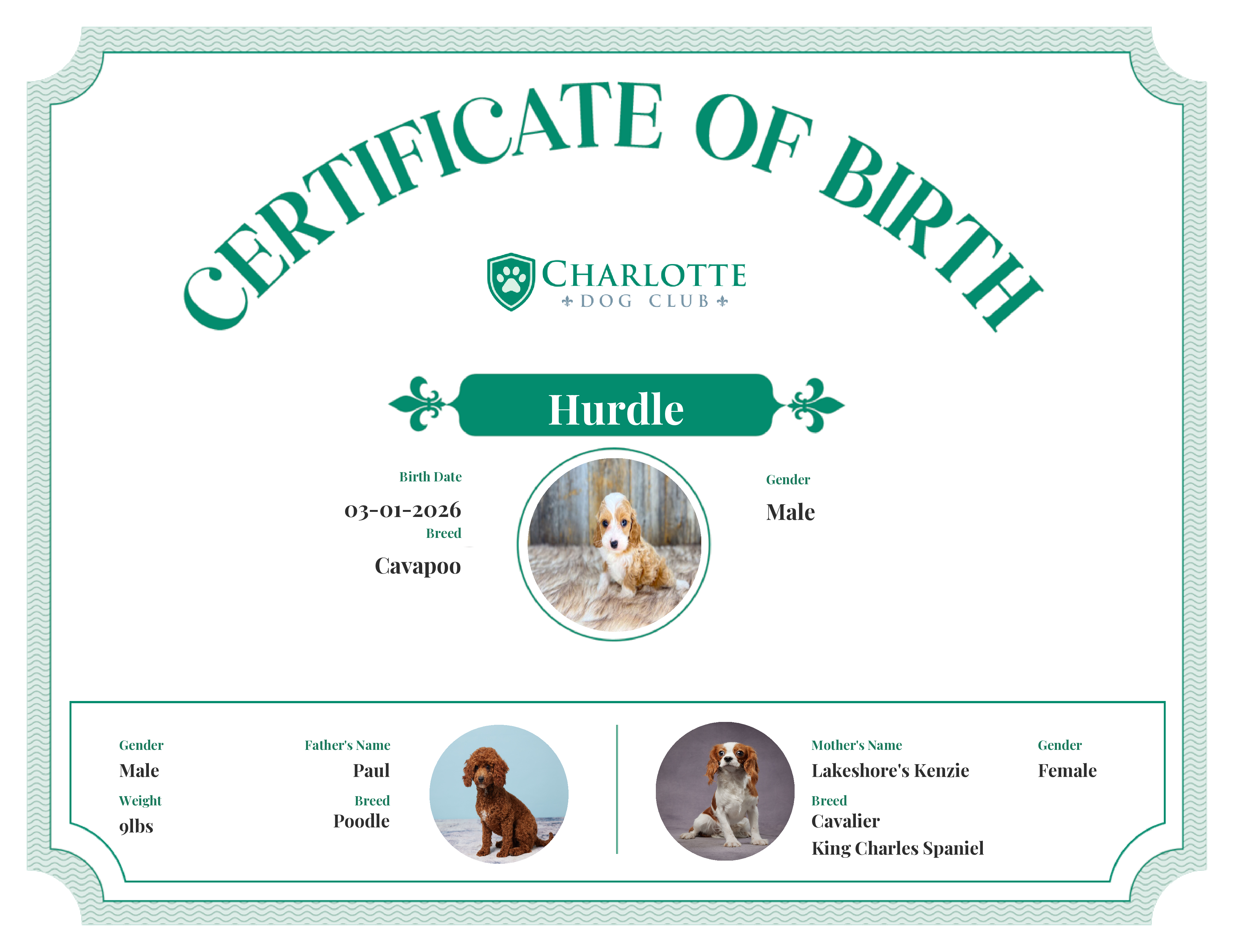 Hurdle's Birth Certificate