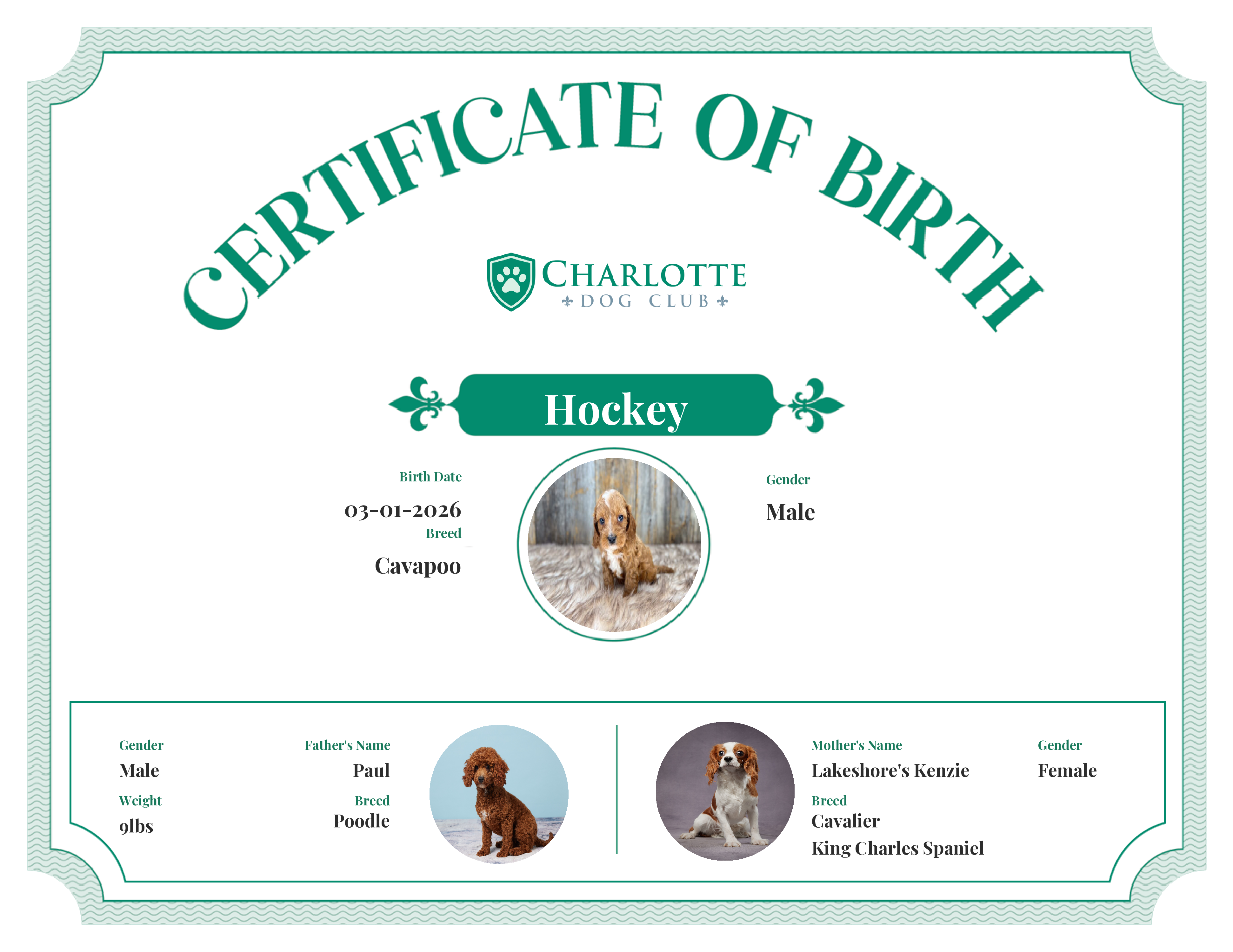 Hockey's Birth Certificate