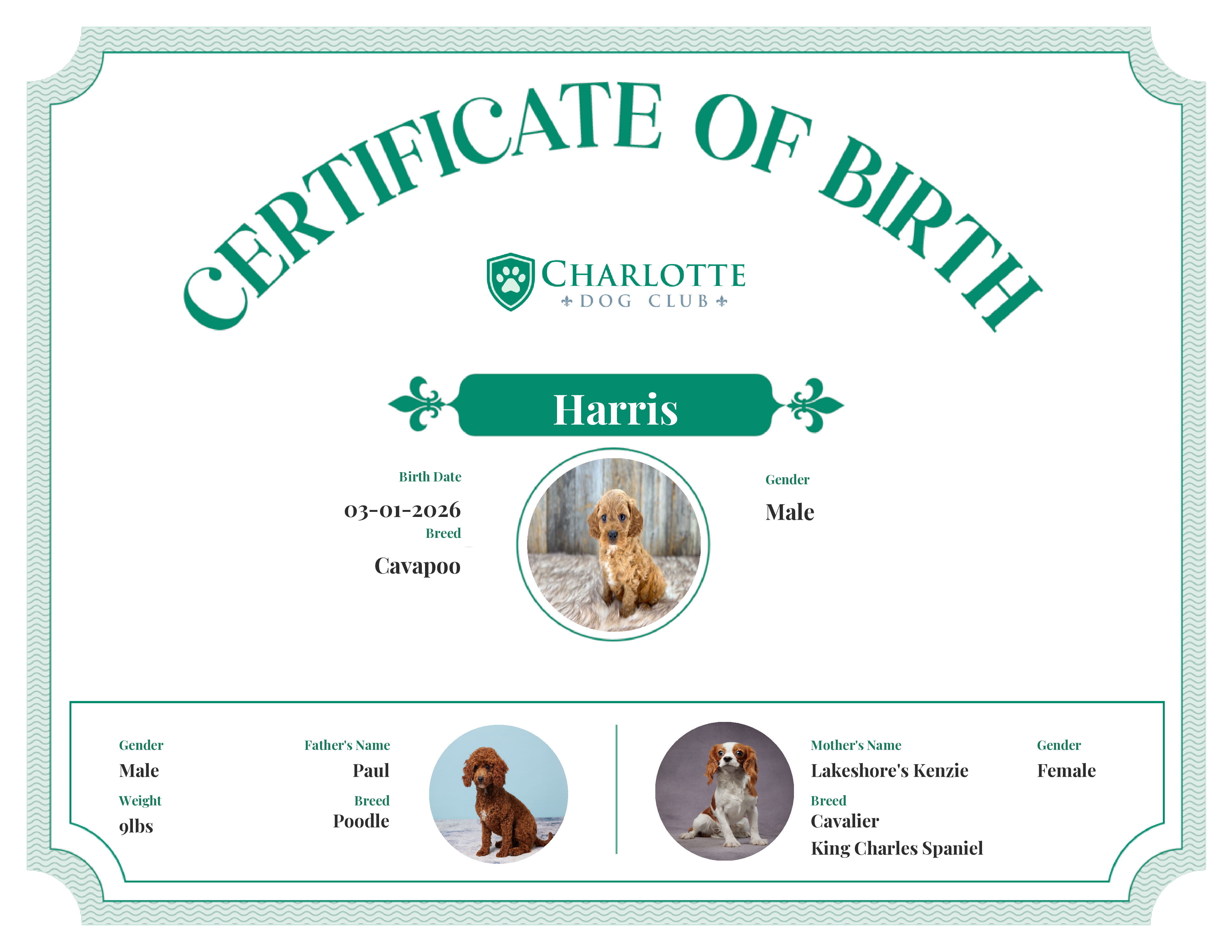 Harris's Birth Certificate