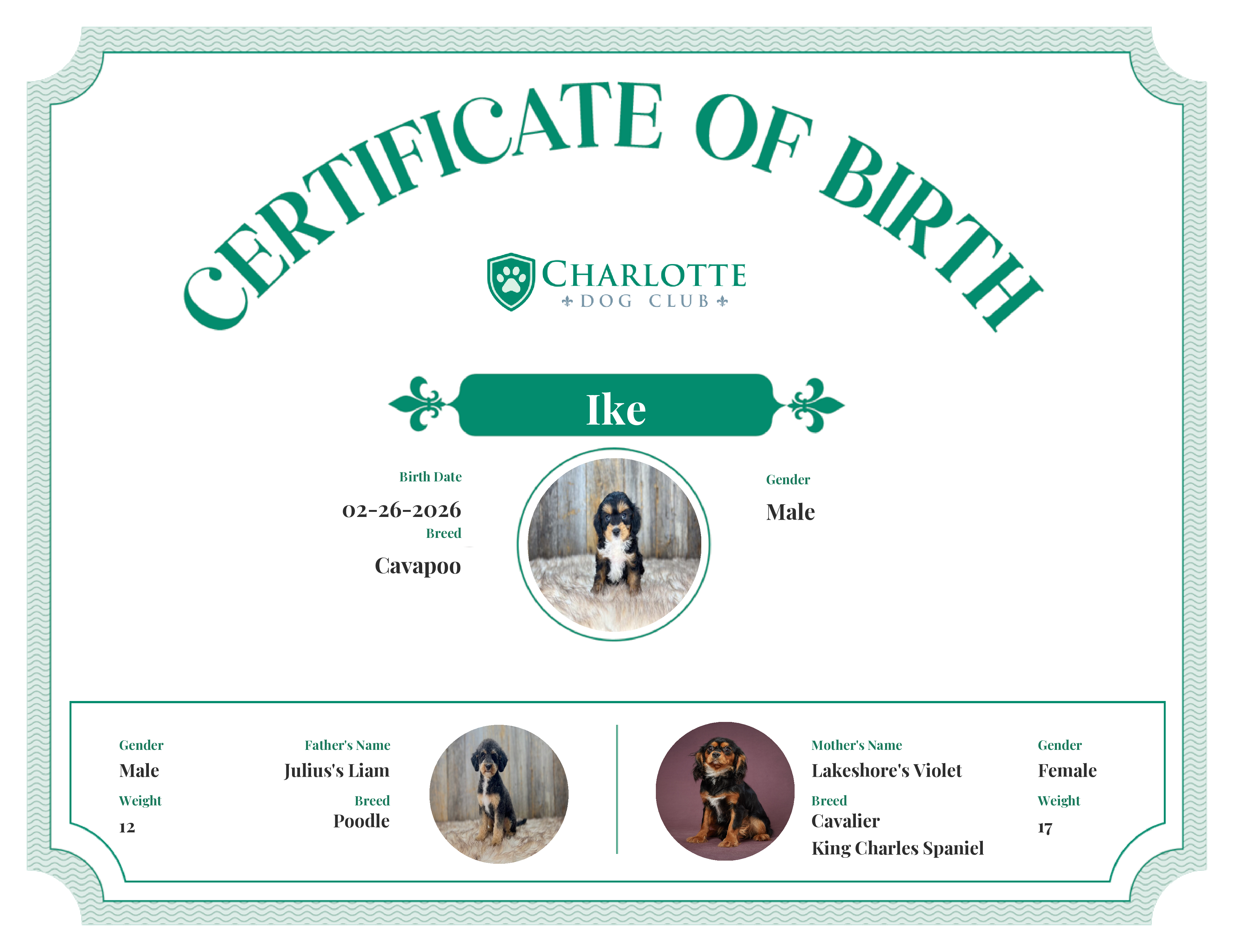 Ike's Birth Certificate