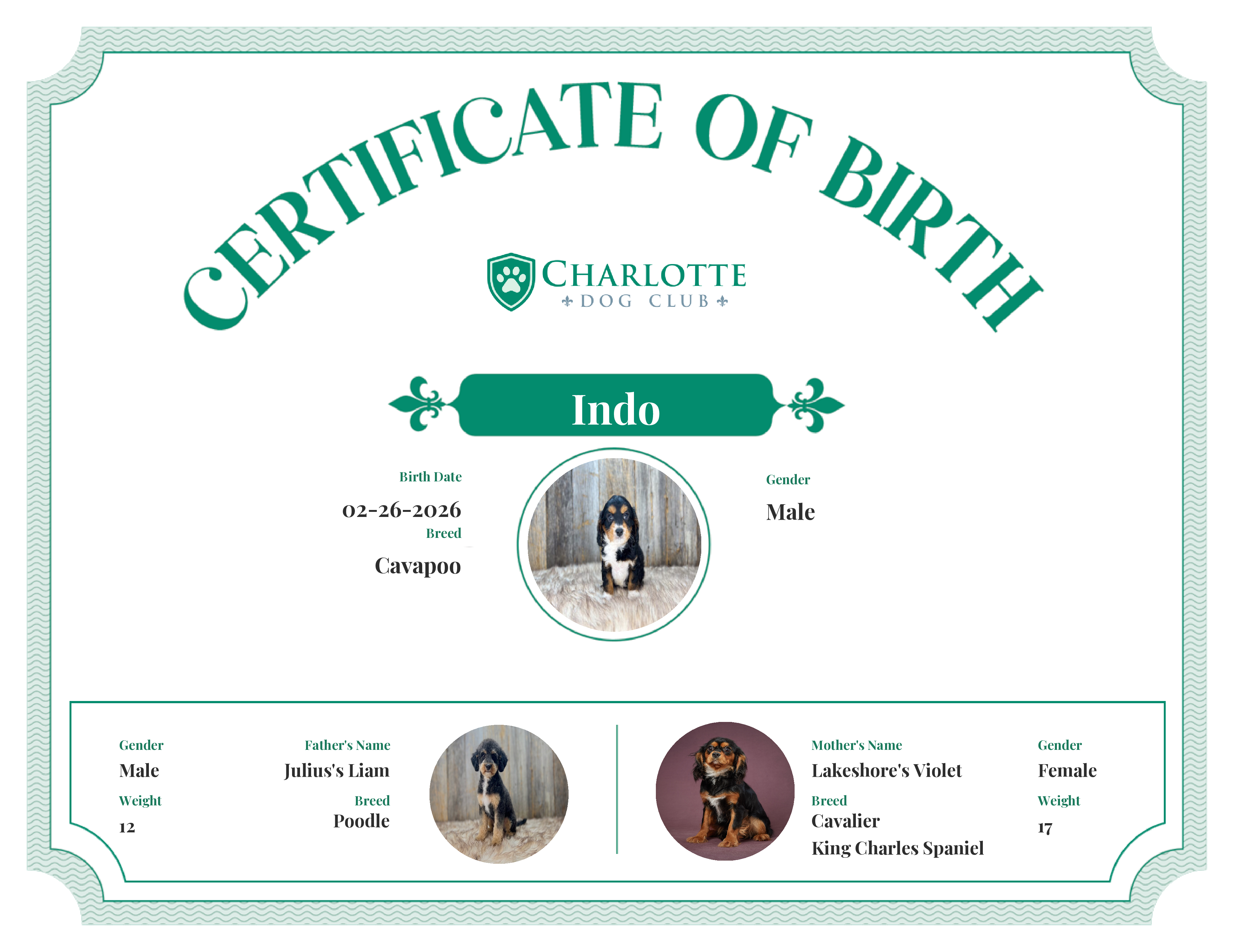 Indo's Birth Certificate