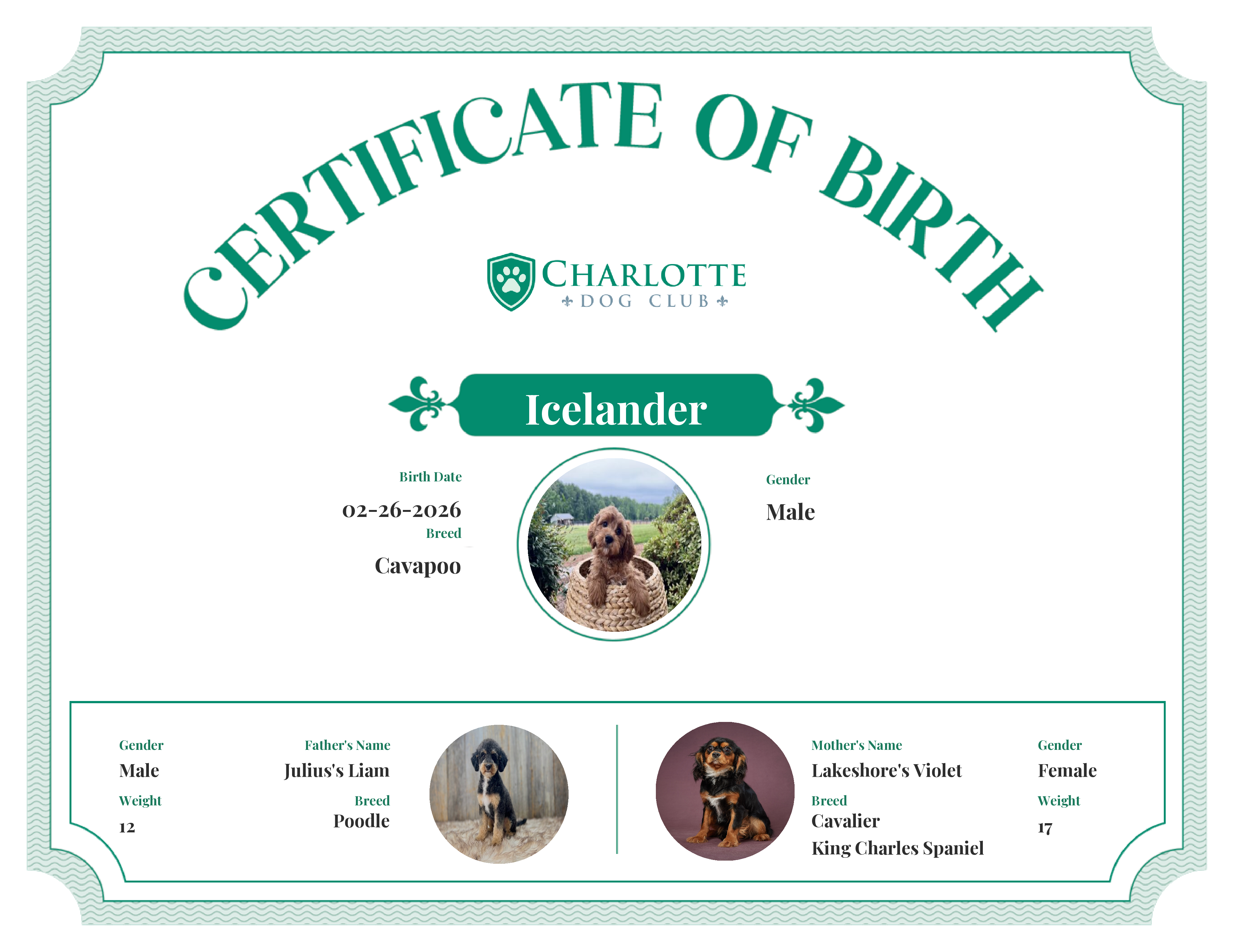Icelander's Birth Certificate