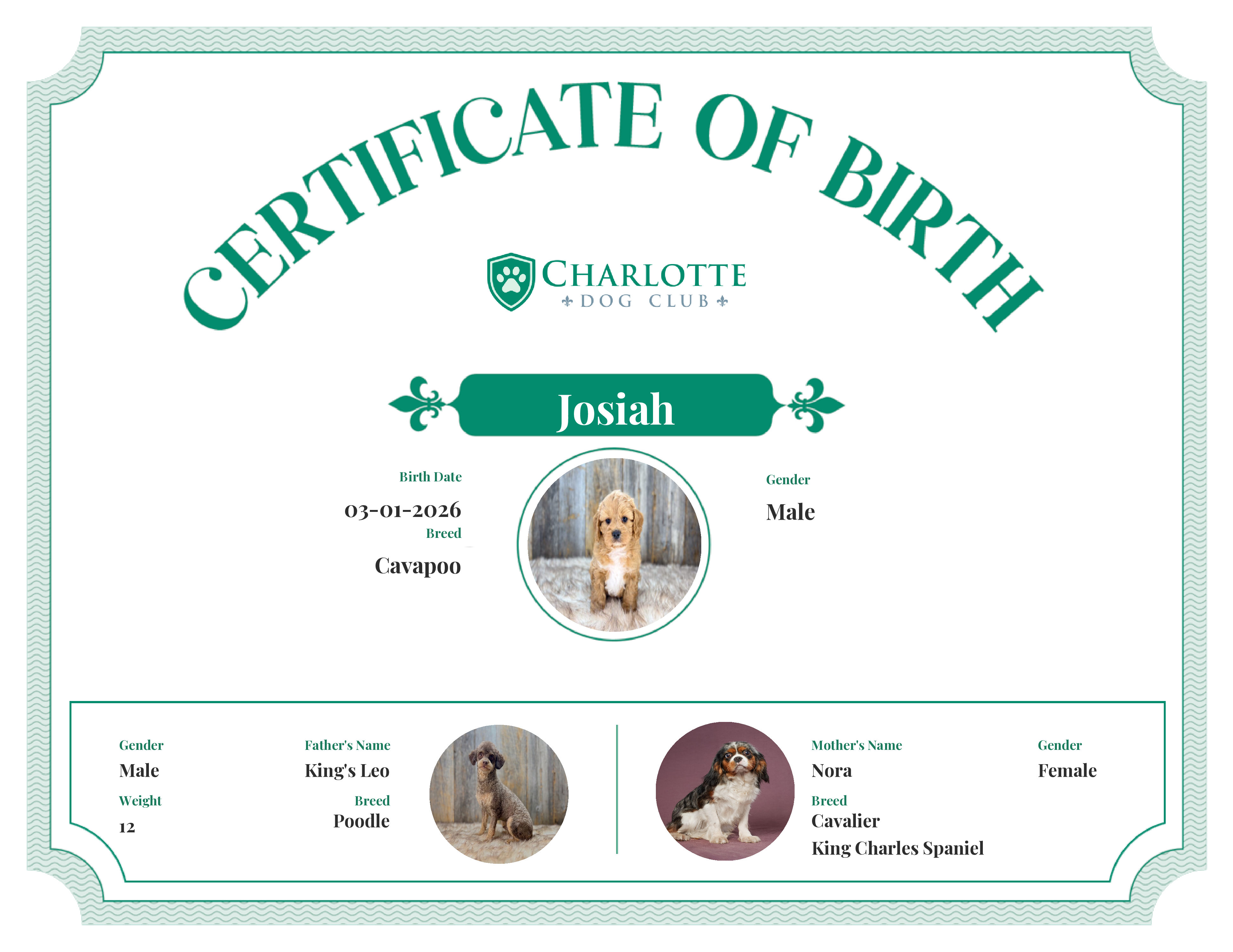 Josiah's Birth Certificate