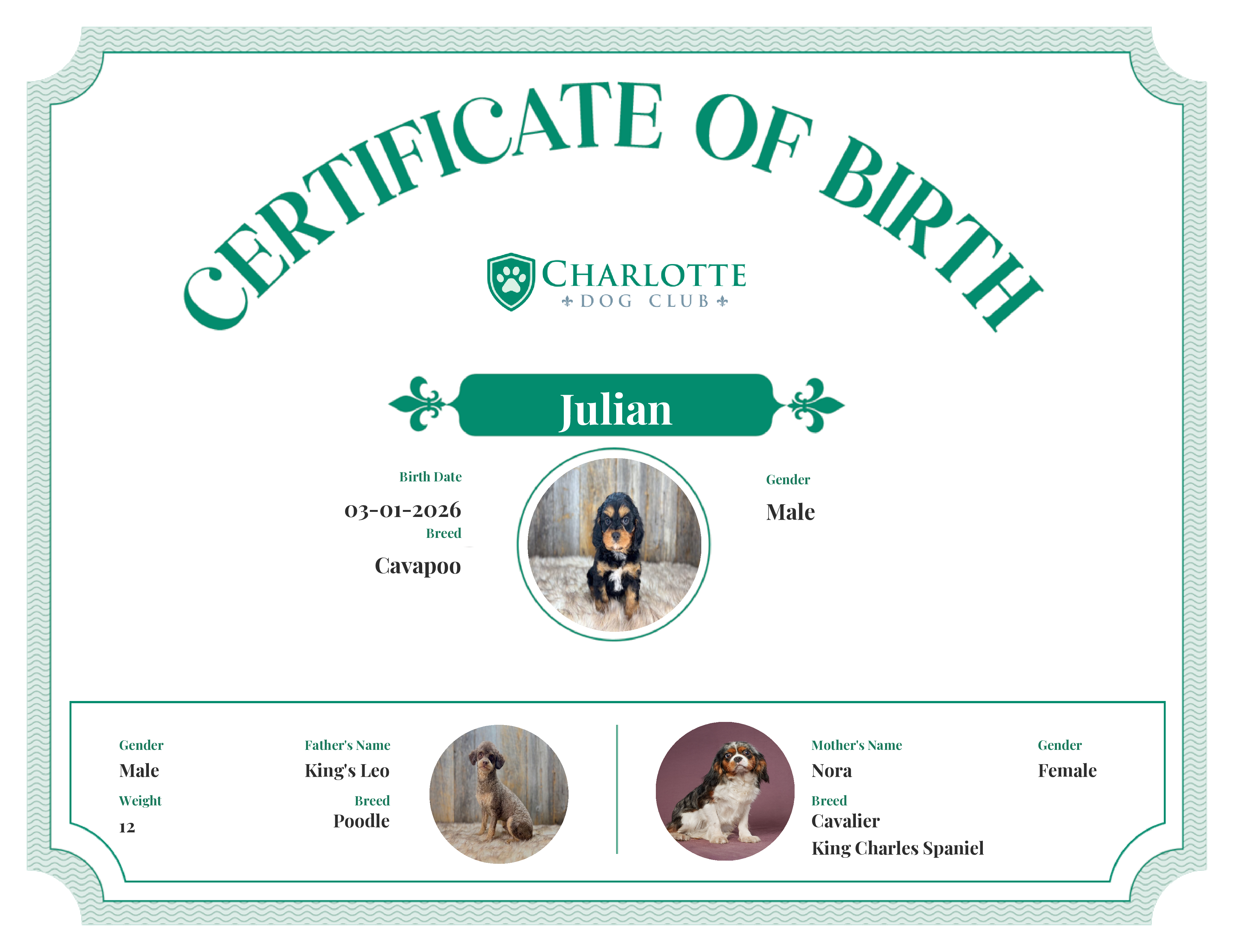 Julian's Birth Certificate