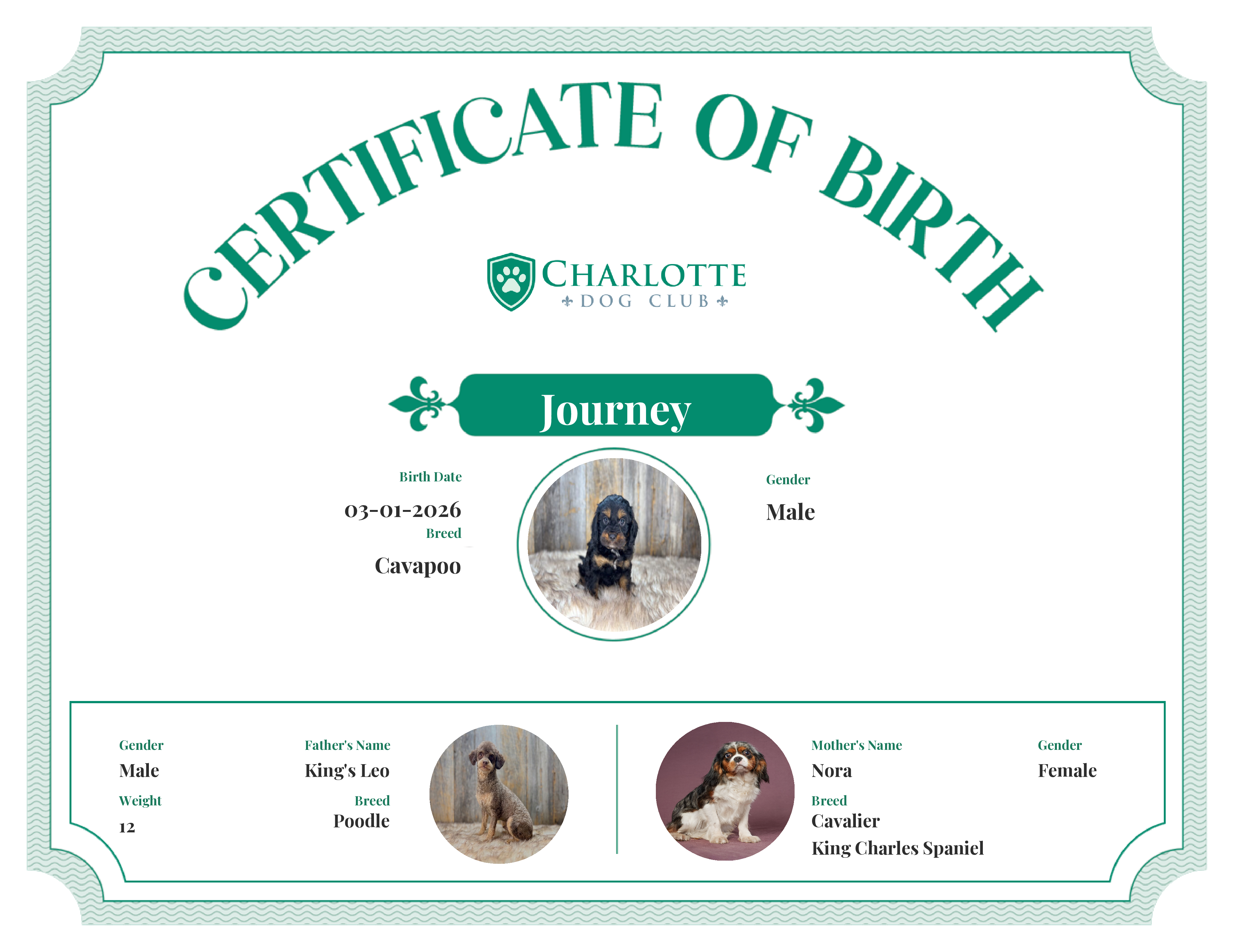 Journey's Birth Certificate
