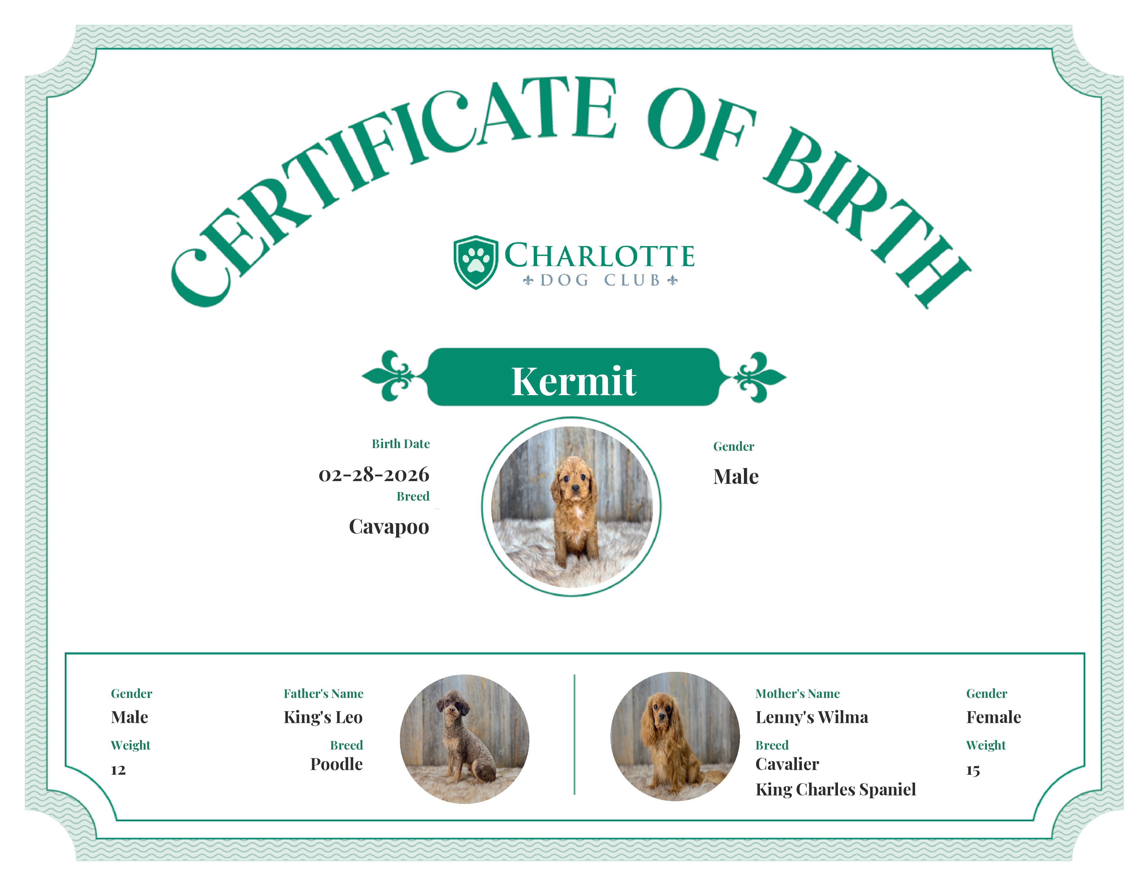 Kermit's Birth Certificate