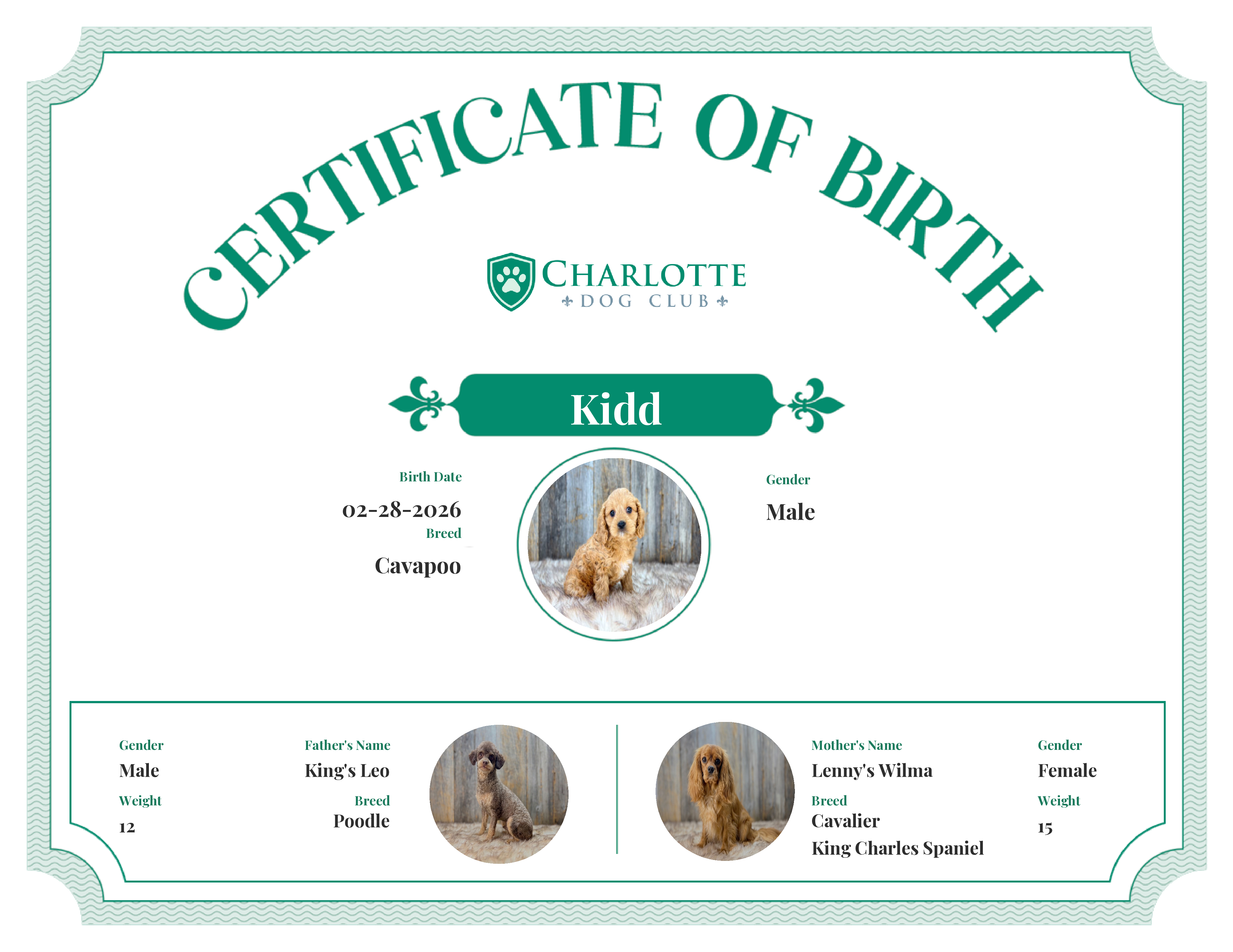 Kidd's Birth Certificate
