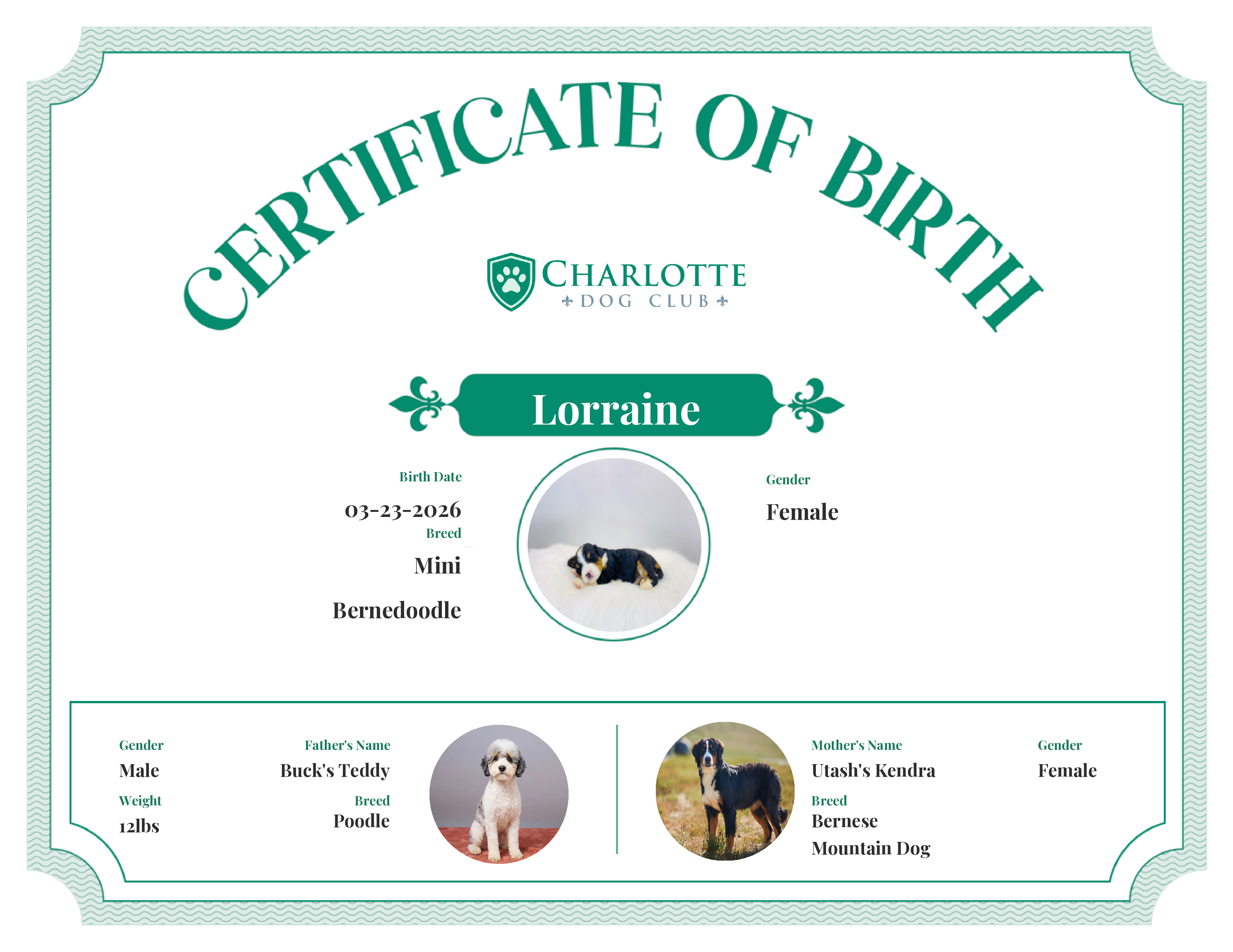 Lorraine's Birth Certificate