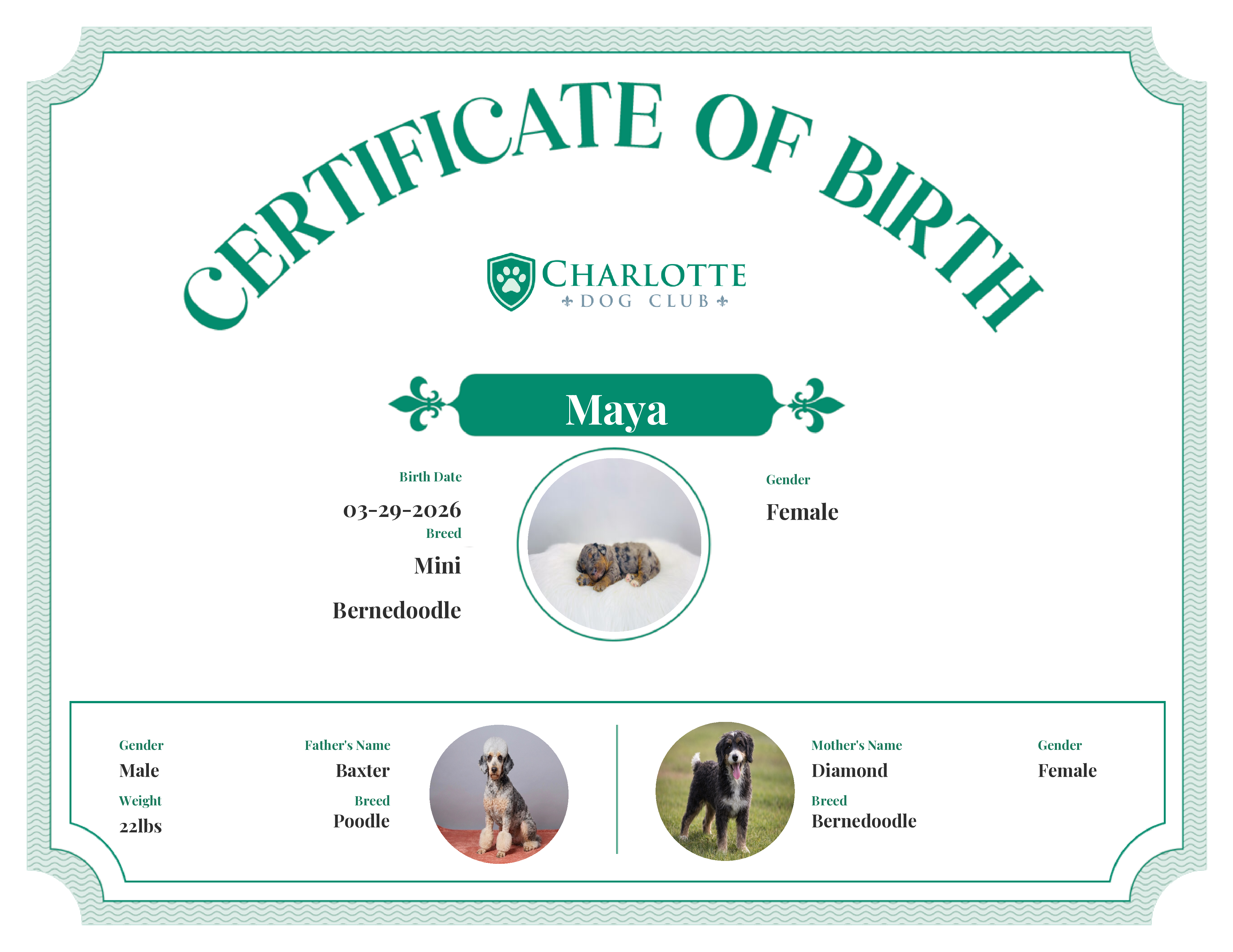 Maya's Birth Certificate