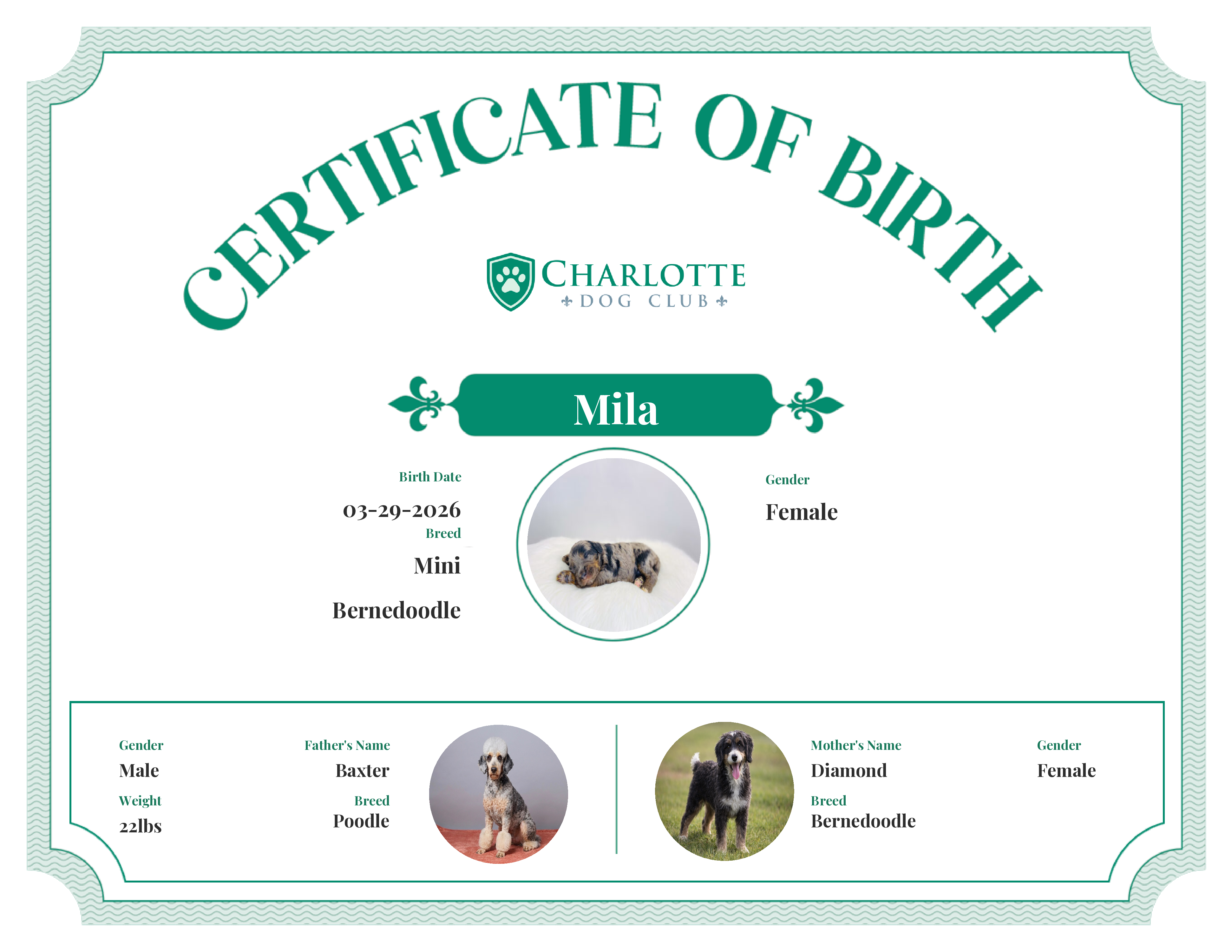 Mila's Birth Certificate