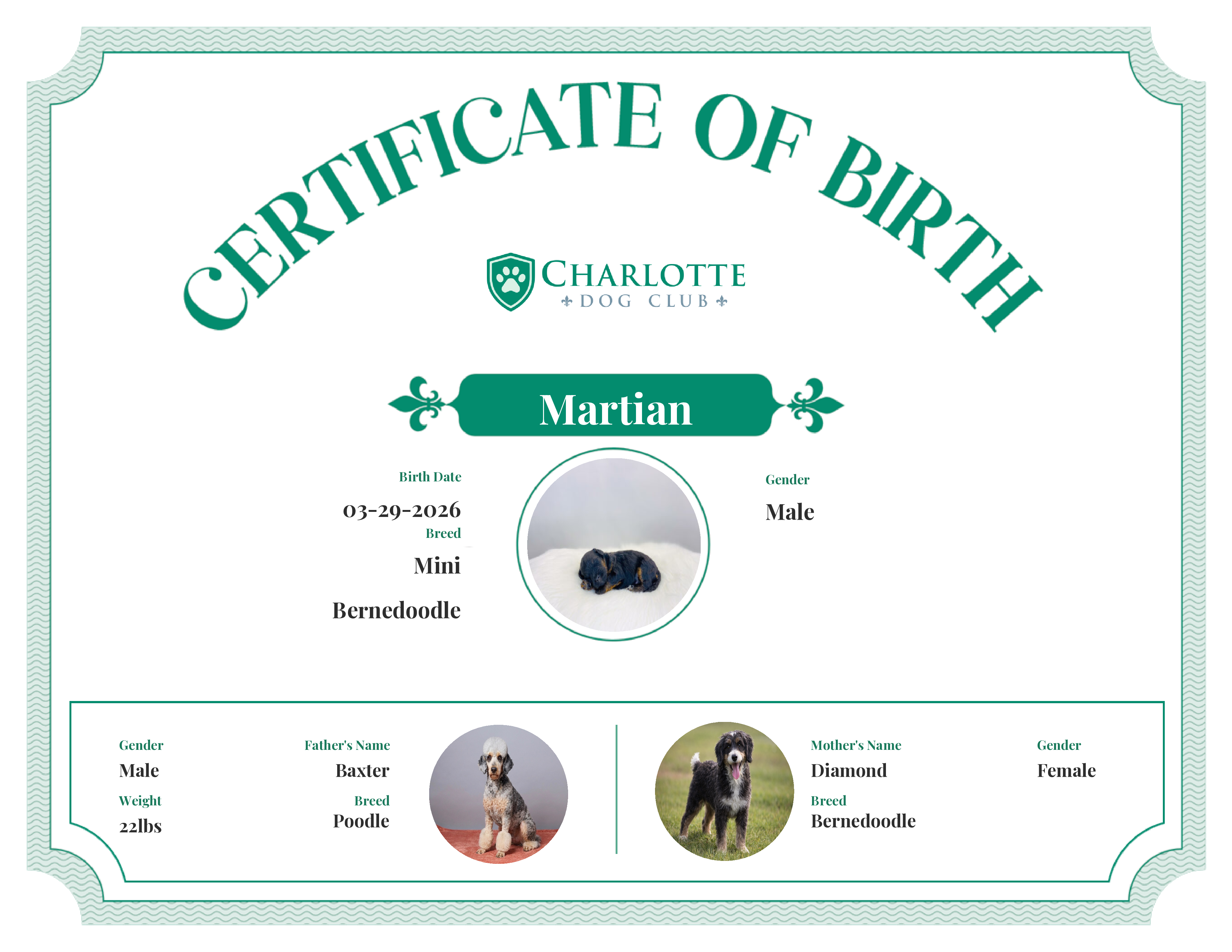 Martian's Birth Certificate