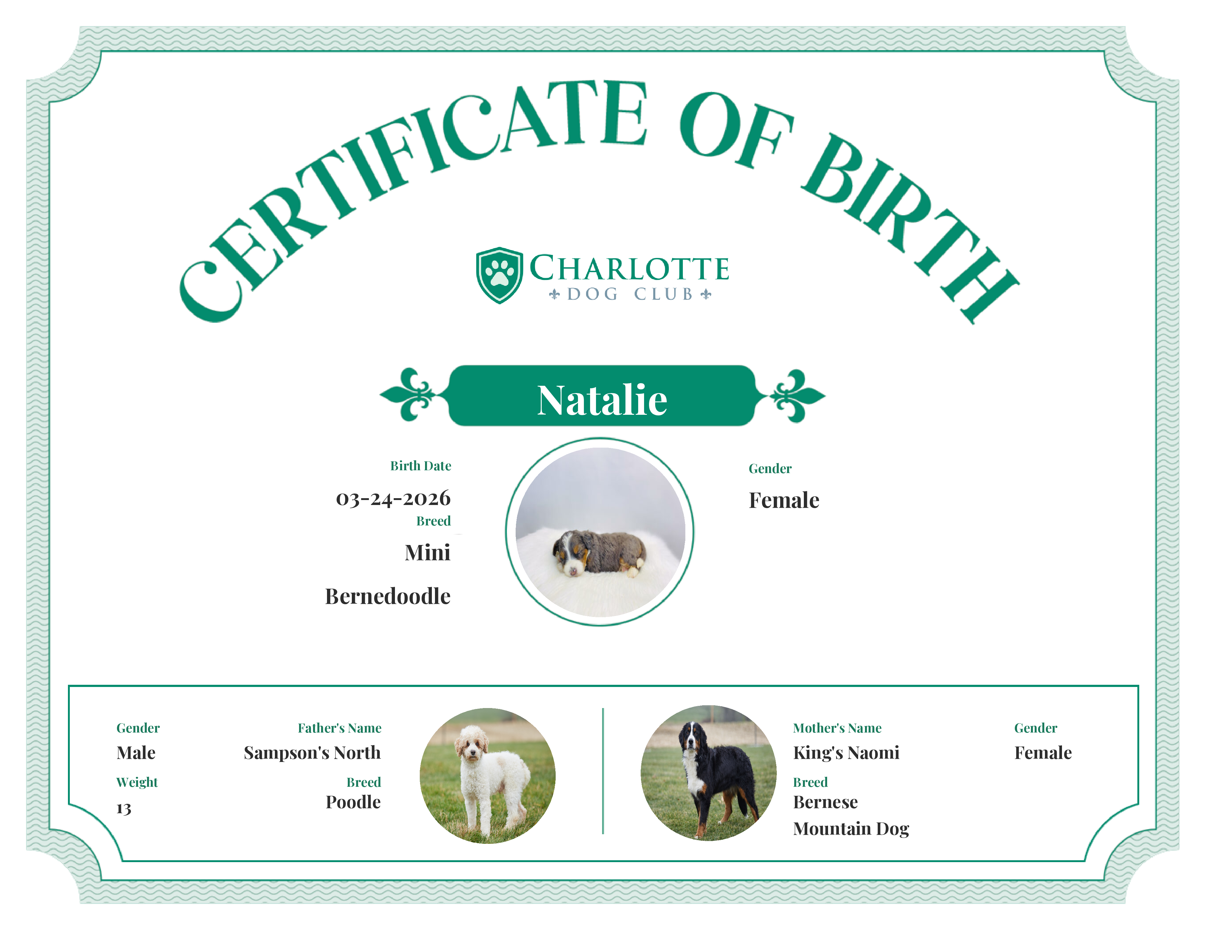 Natalie's Birth Certificate