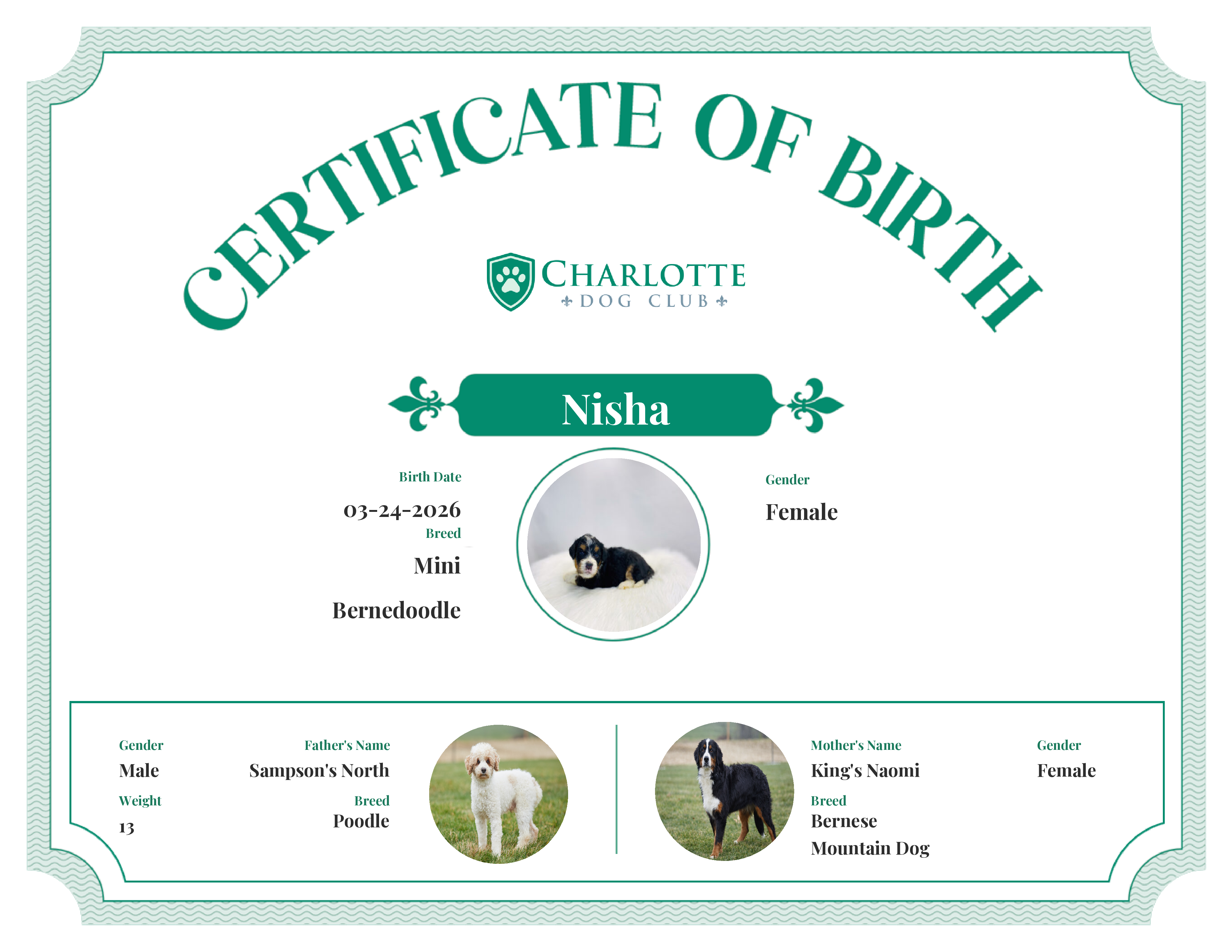 Nisha's Birth Certificate