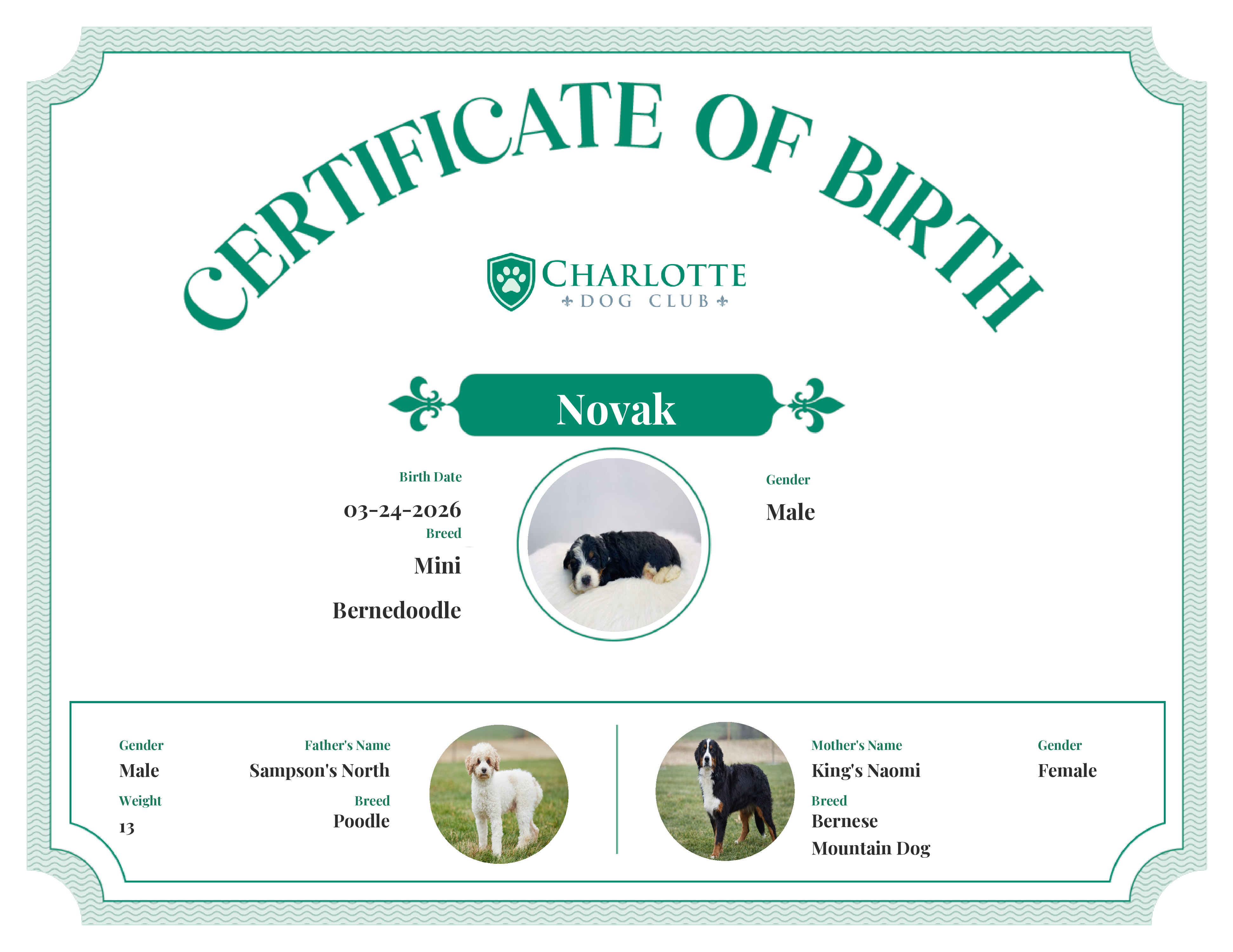 Novak's Birth Certificate