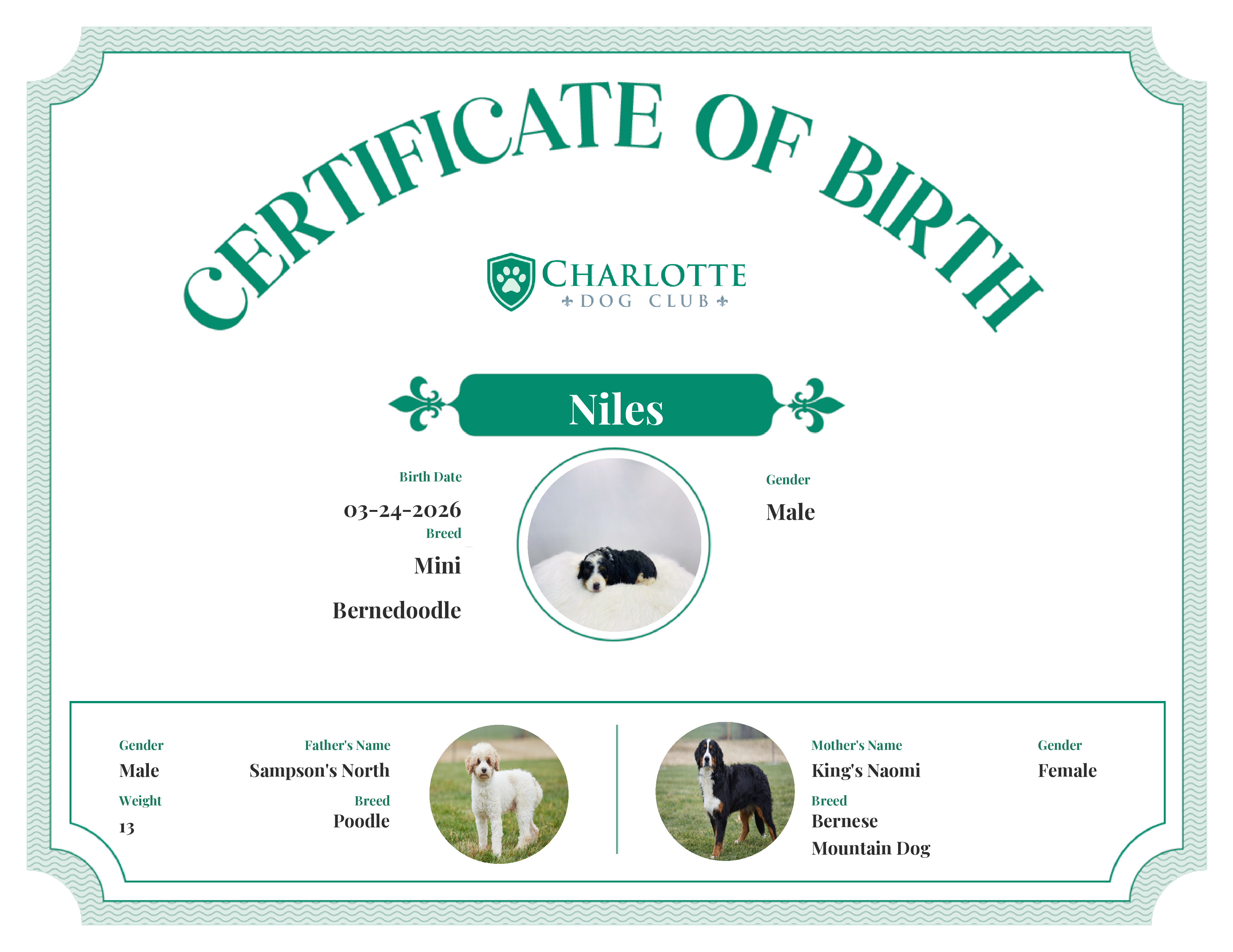 Niles's Birth Certificate