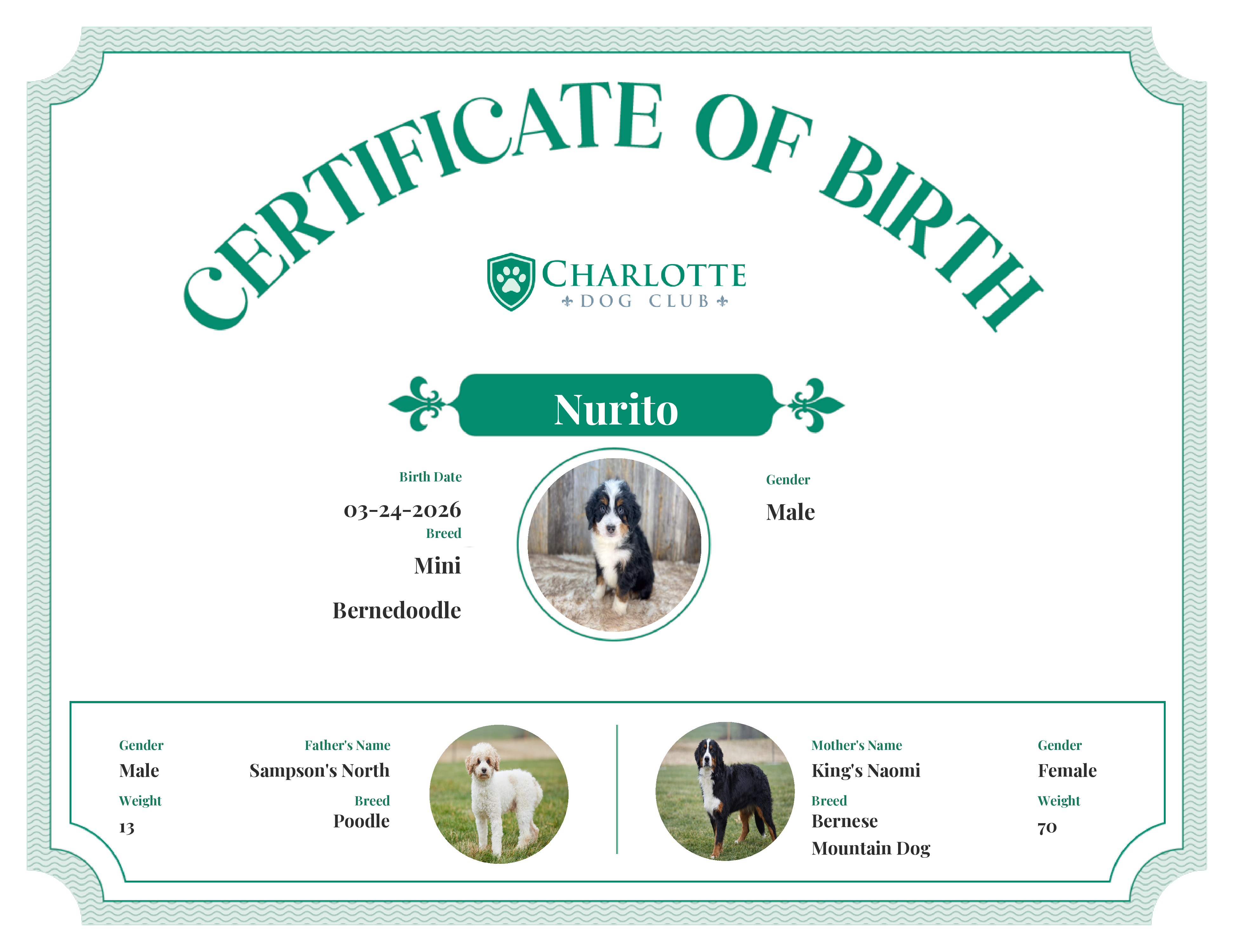 Nurito's Birth Certificate