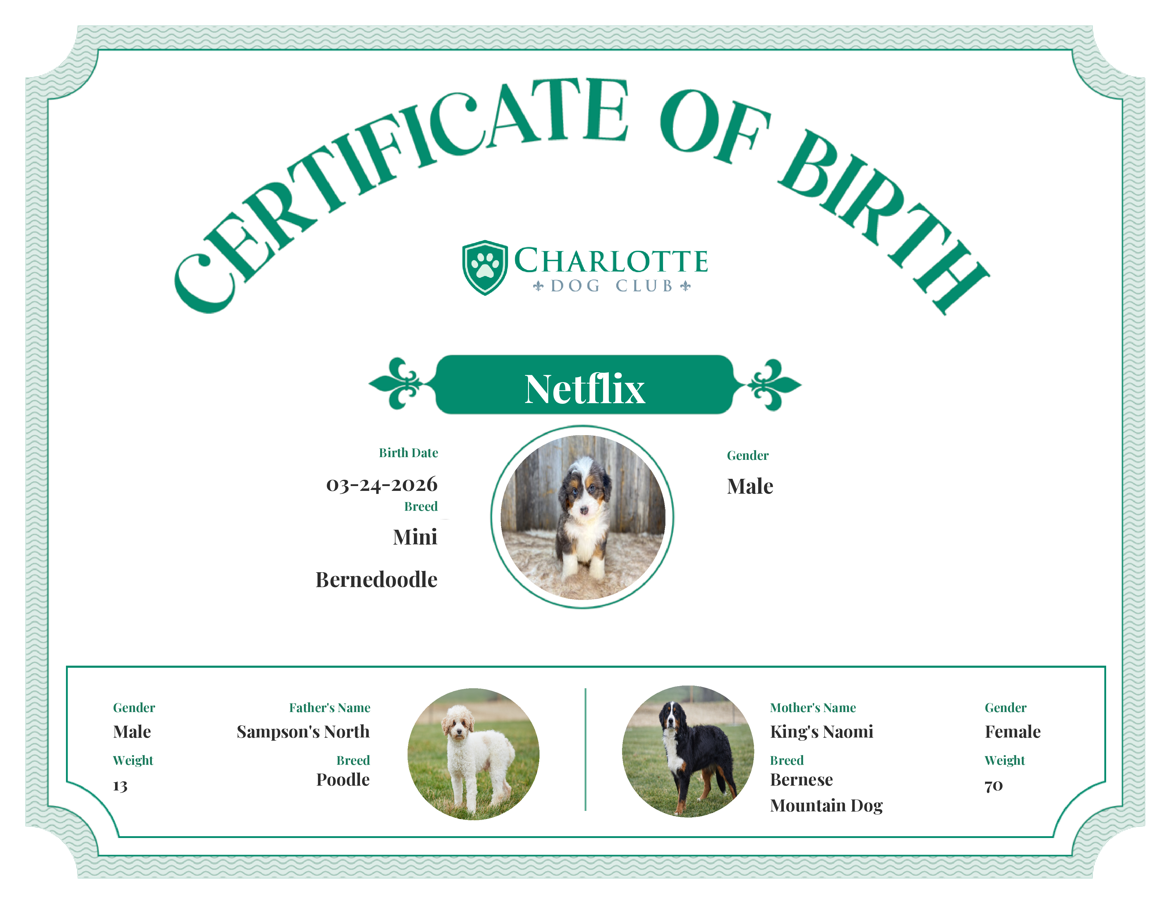 Netflix's Birth Certificate