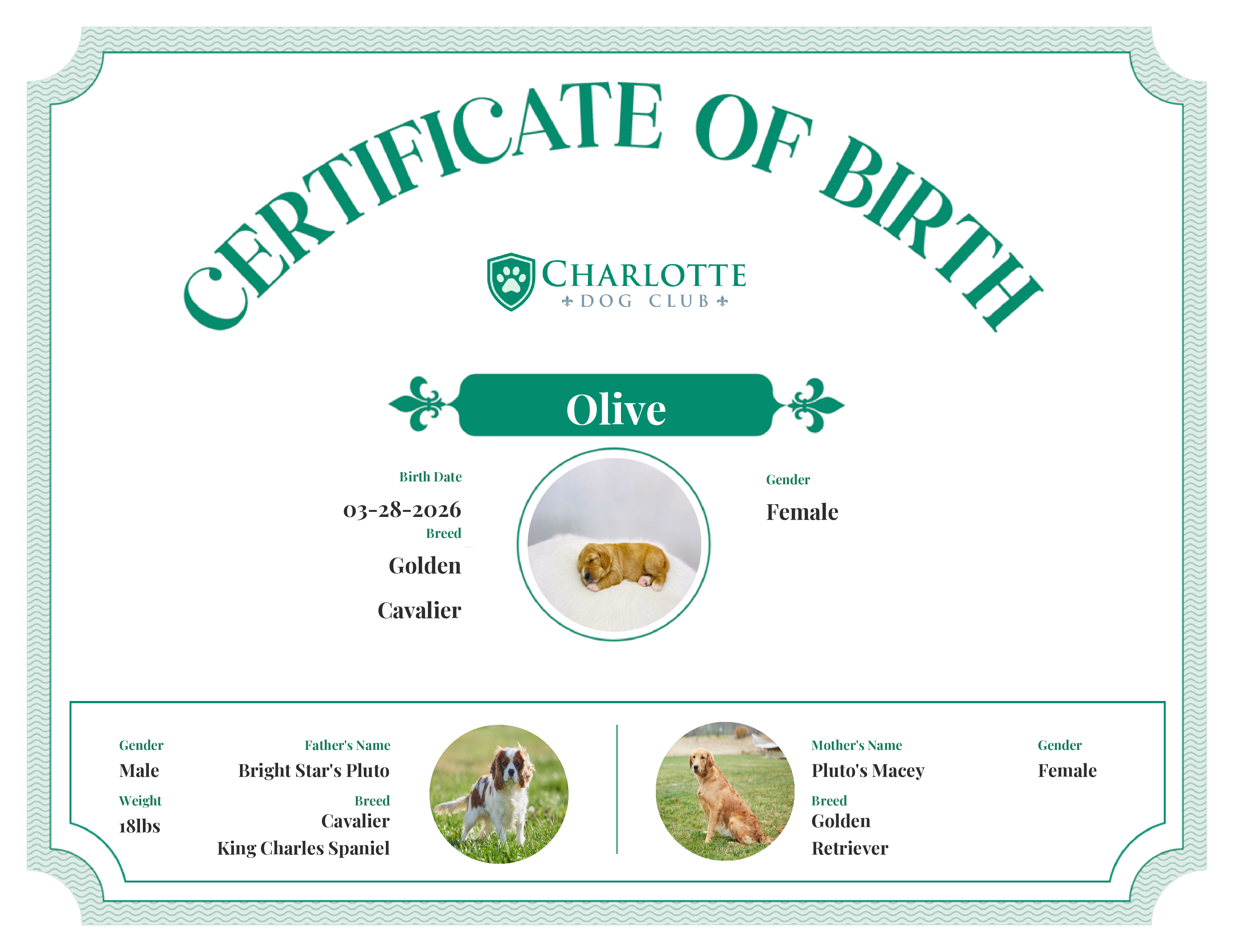Olive's Birth Certificate