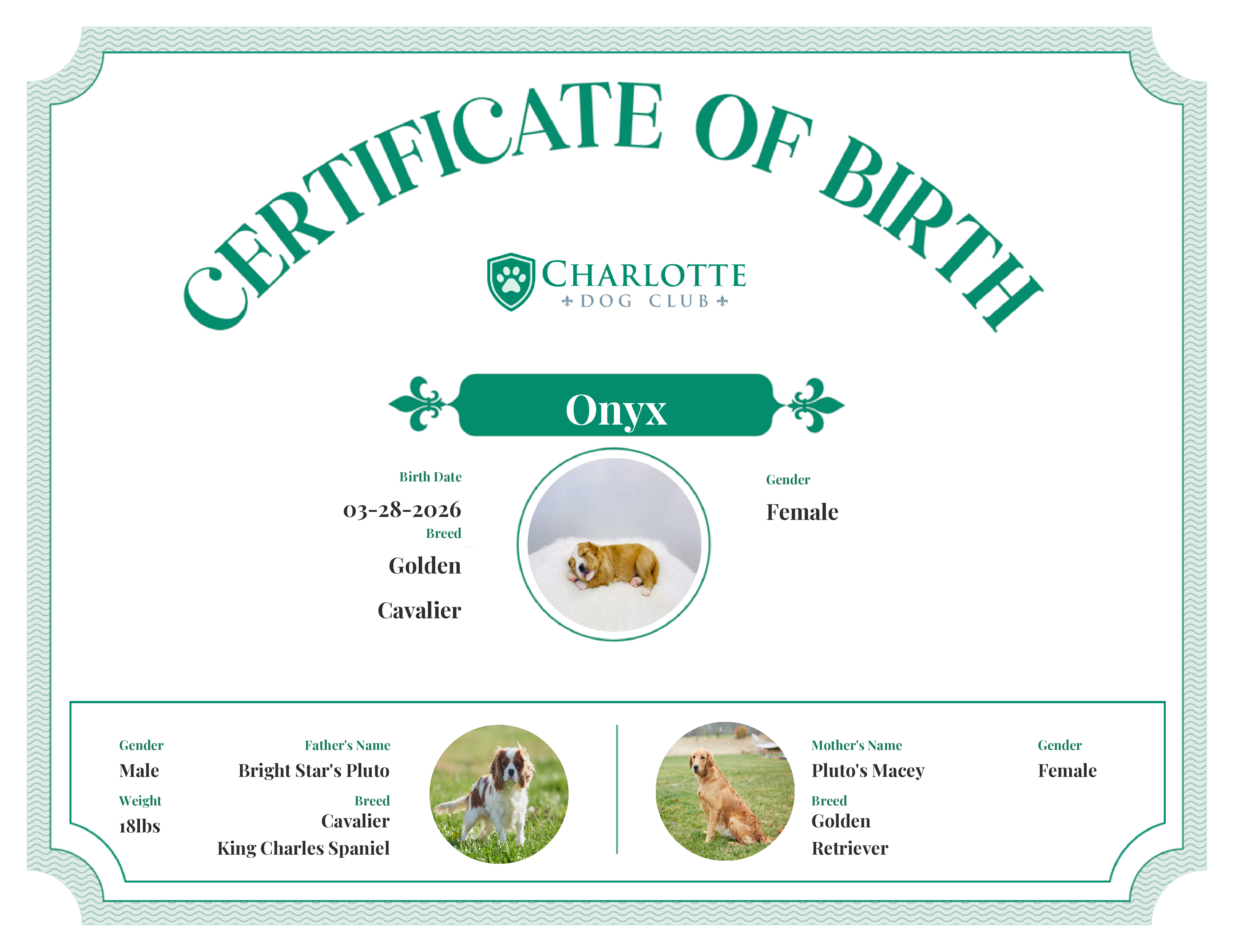 Onyx's Birth Certificate