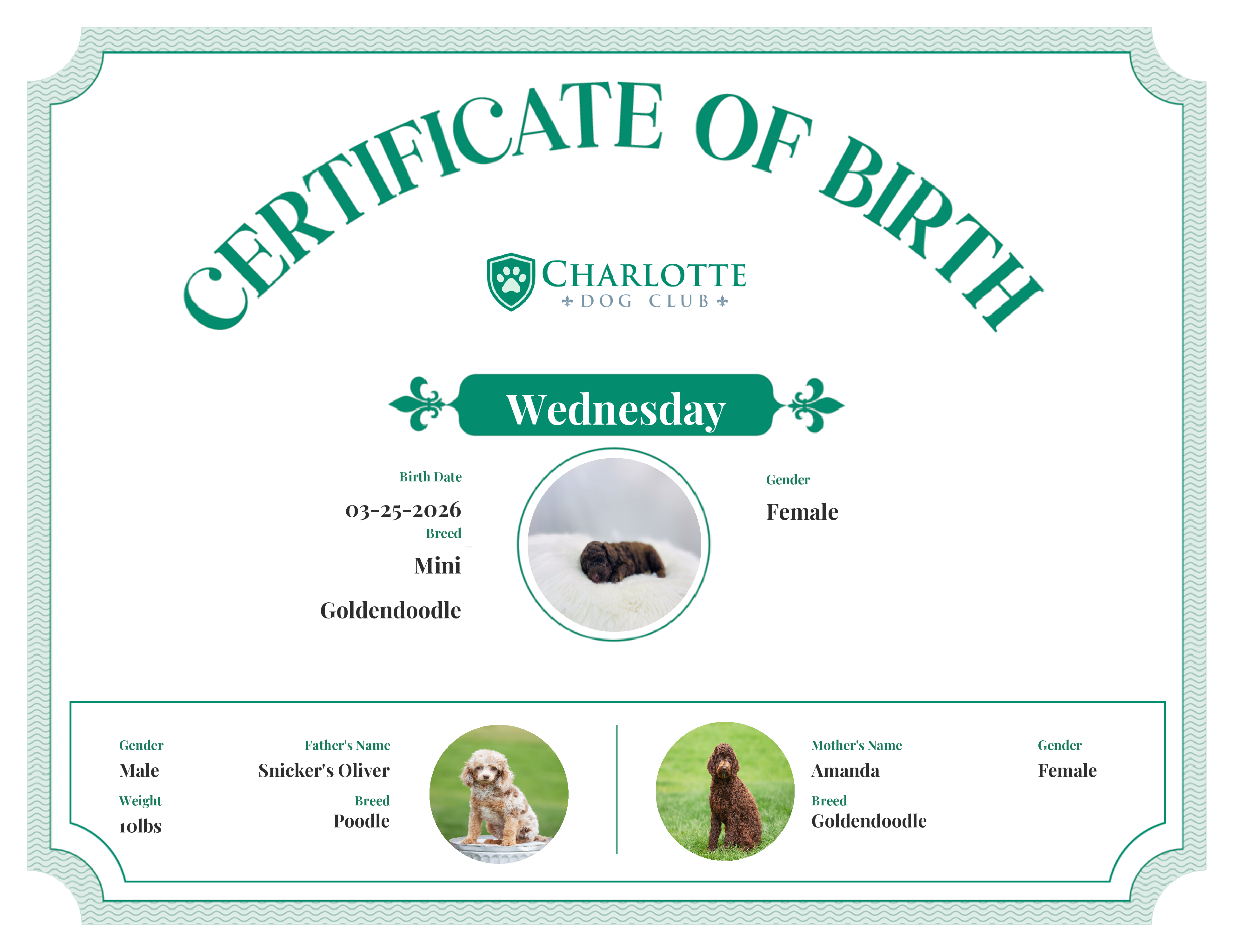 Wednesday's Birth Certificate