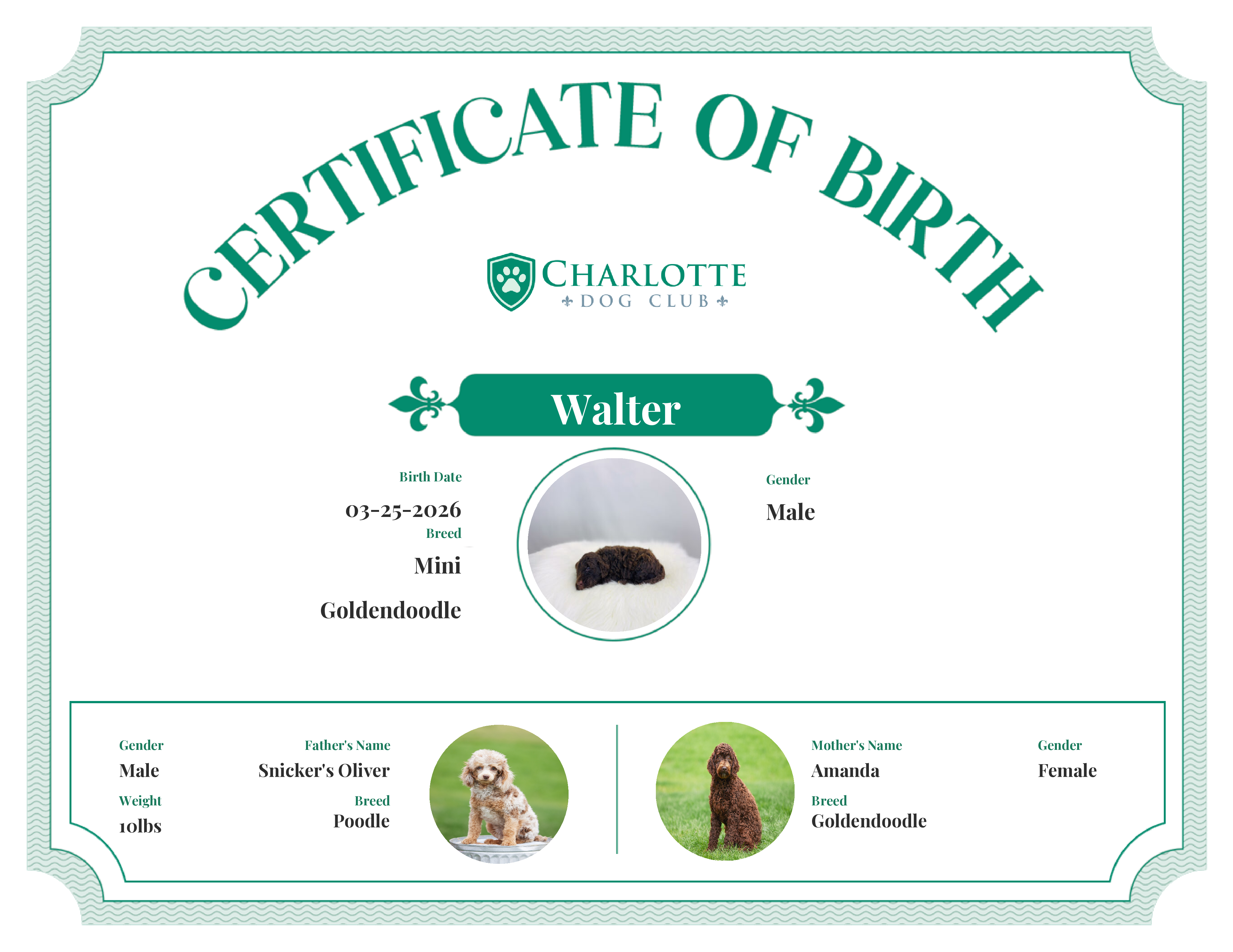 Walter's Birth Certificate