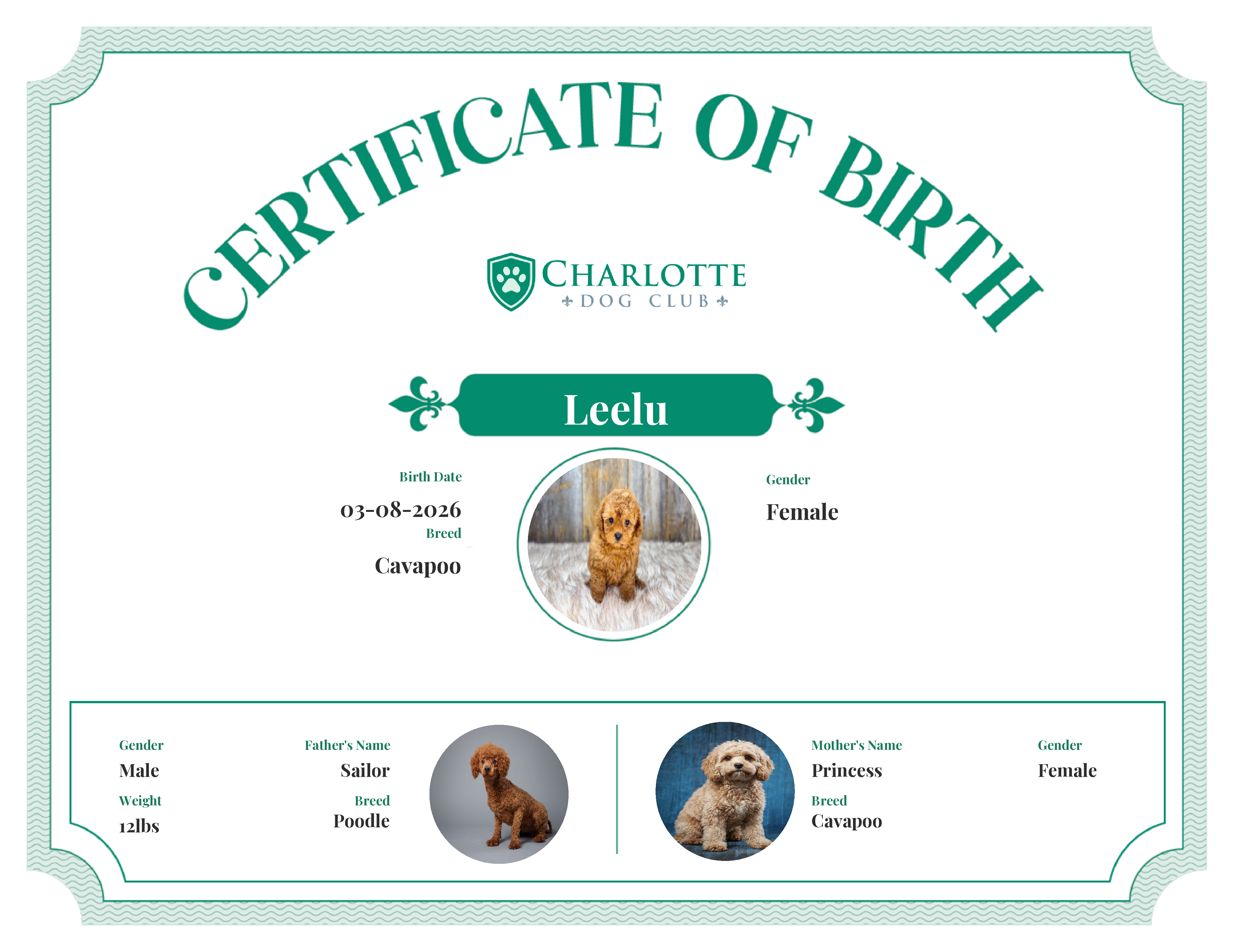 Leelu's Birth Certificate