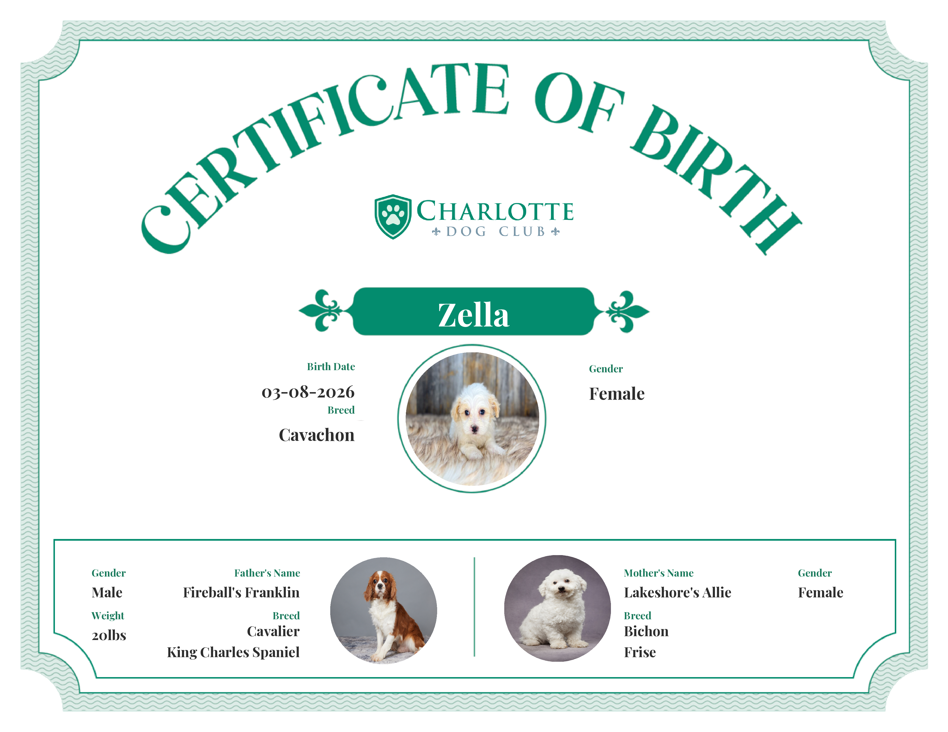 Zella's Birth Certificate