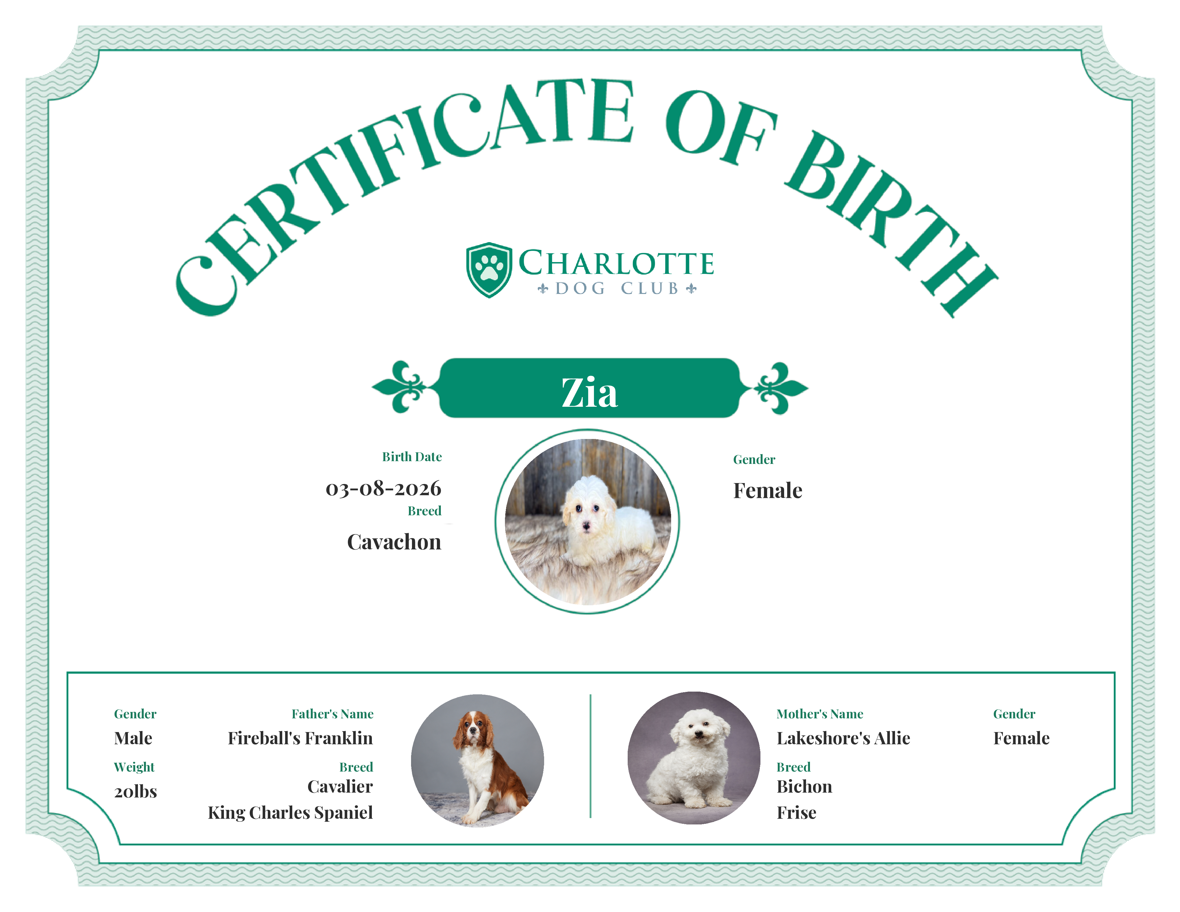 Zia's Birth Certificate