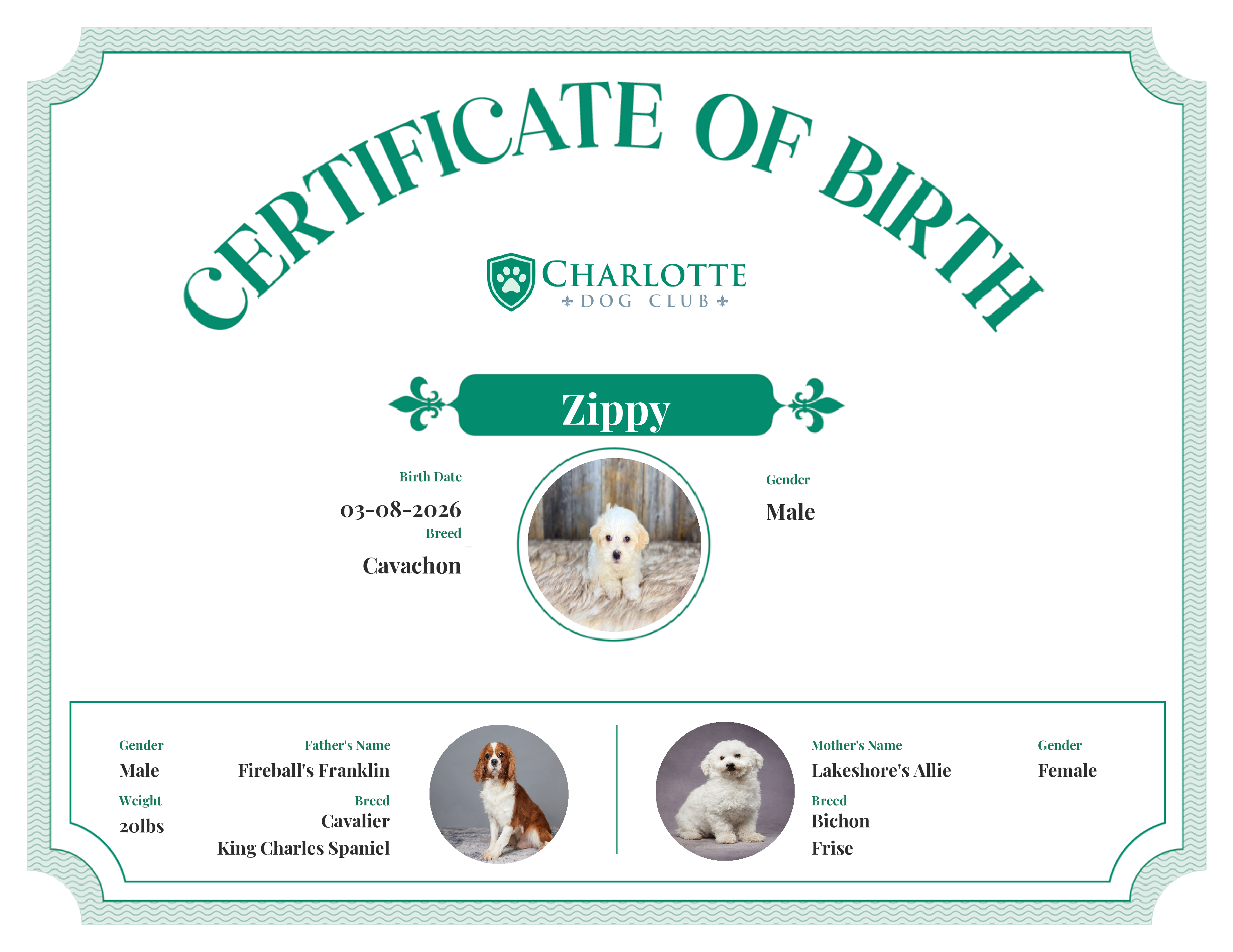 Zippy's Birth Certificate
