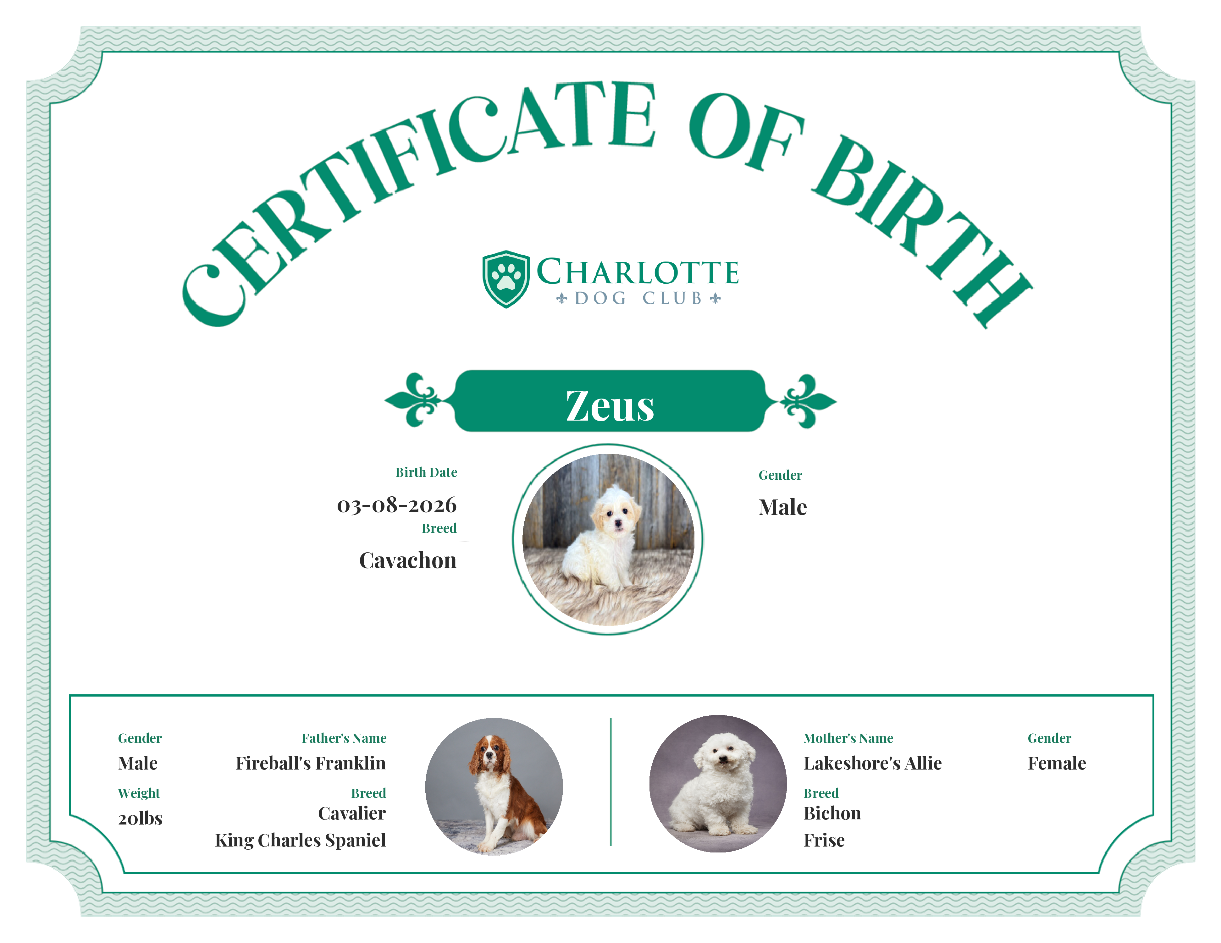 Zeus's Birth Certificate