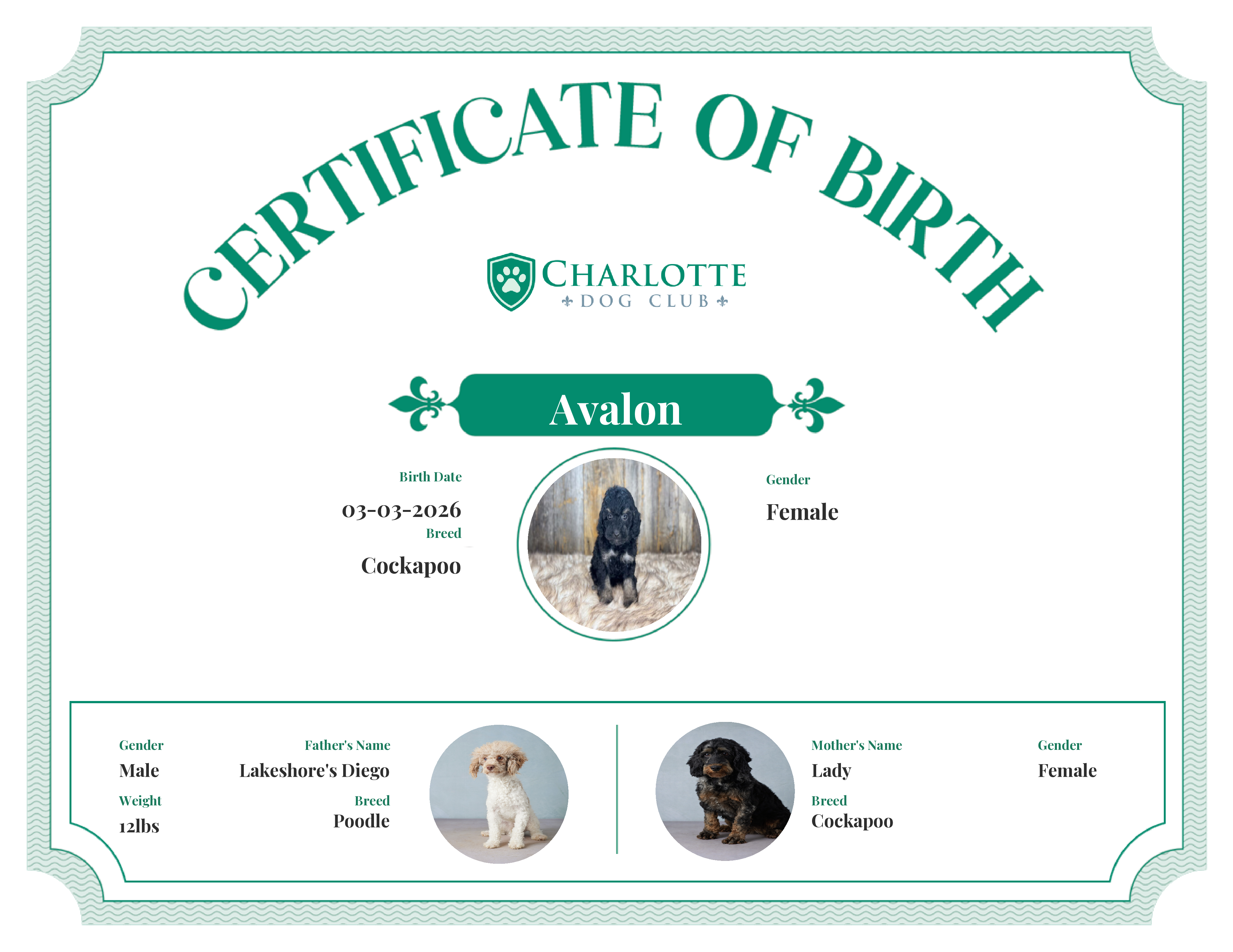 Avalon's Birth Certificate