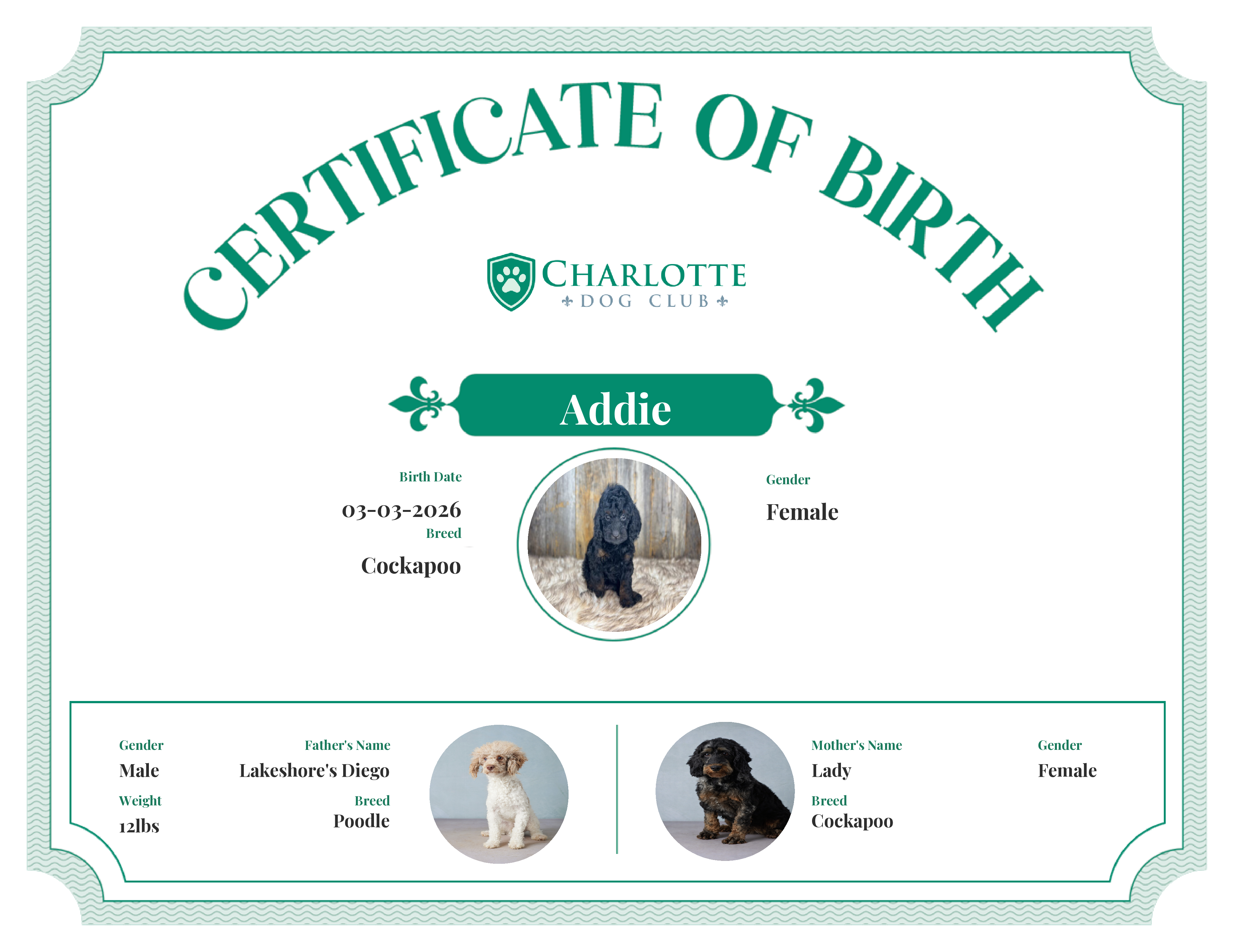 Addie's Birth Certificate