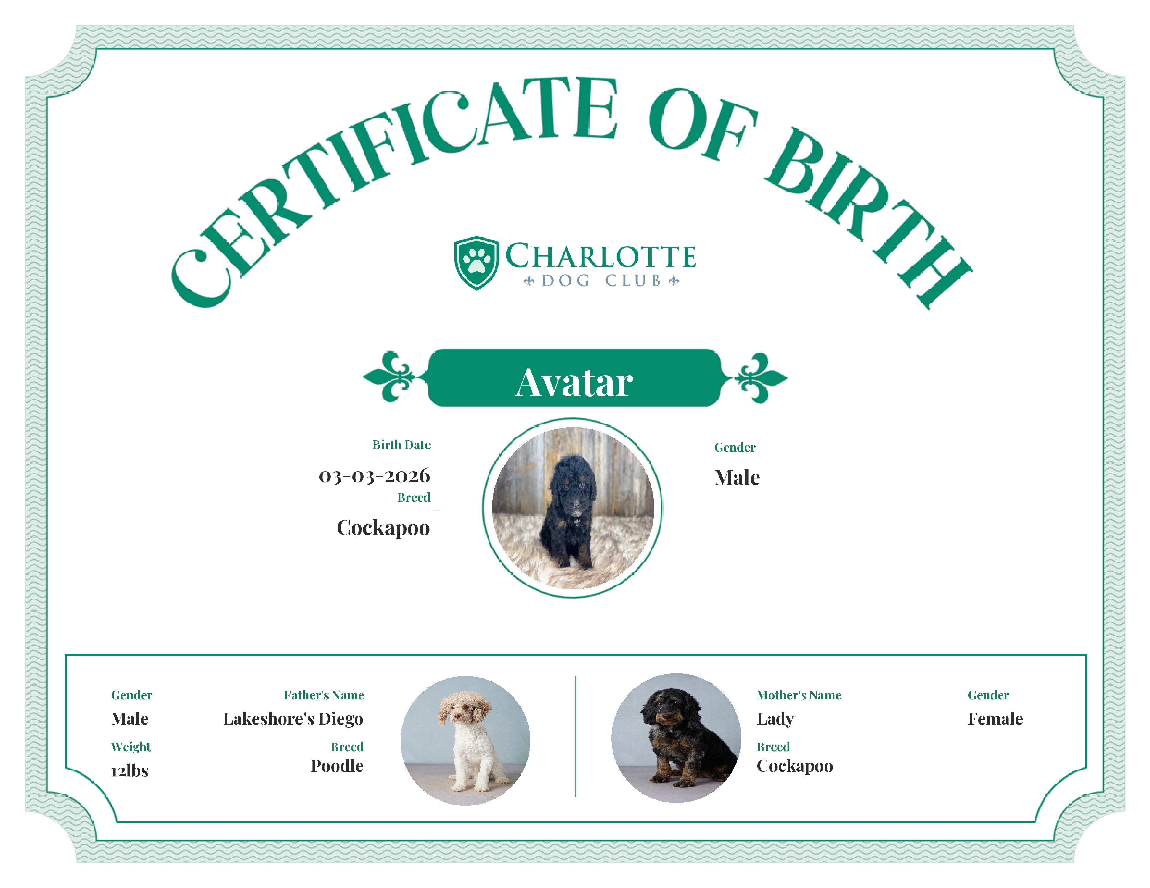 Avatar's Birth Certificate