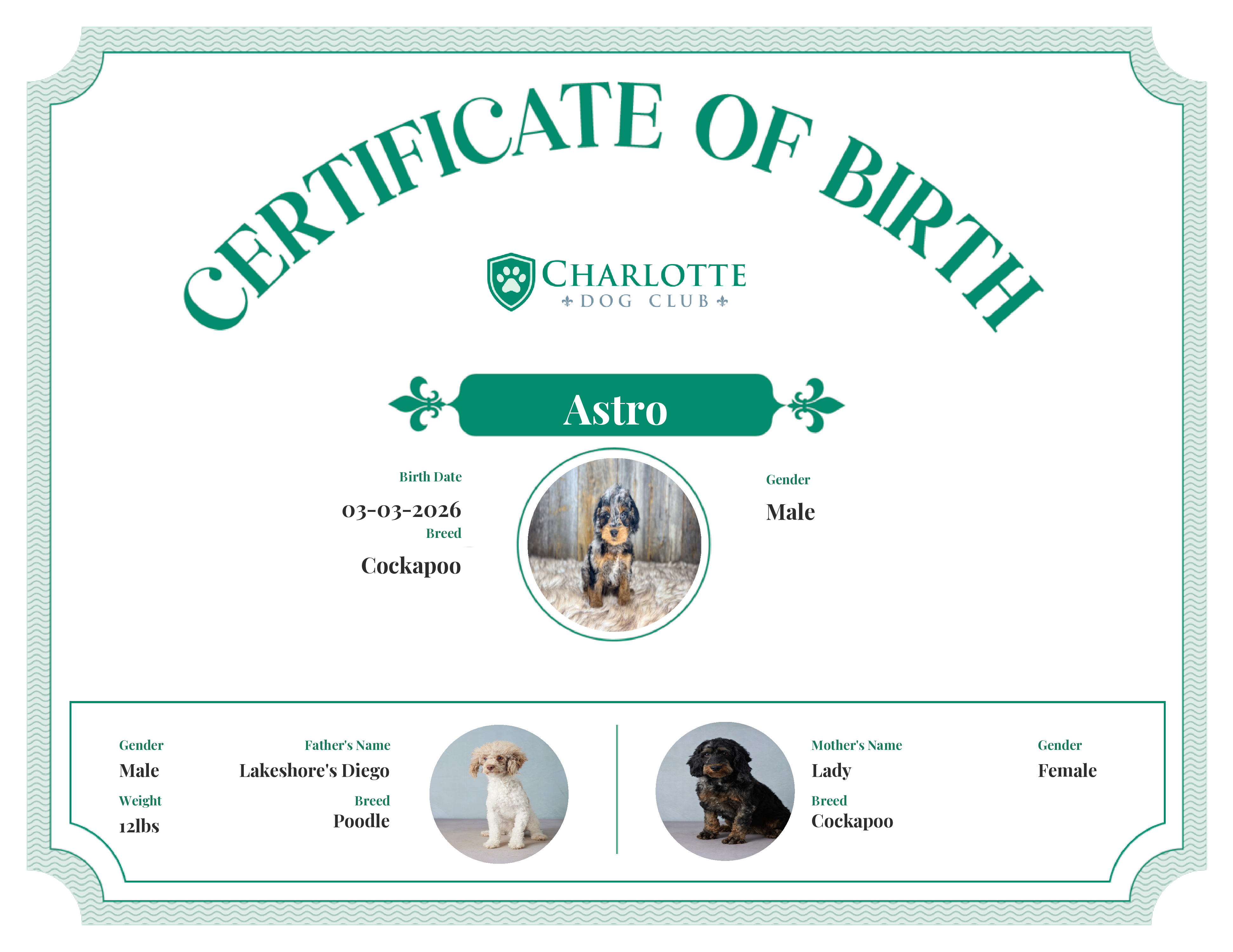 Astro's Birth Certificate