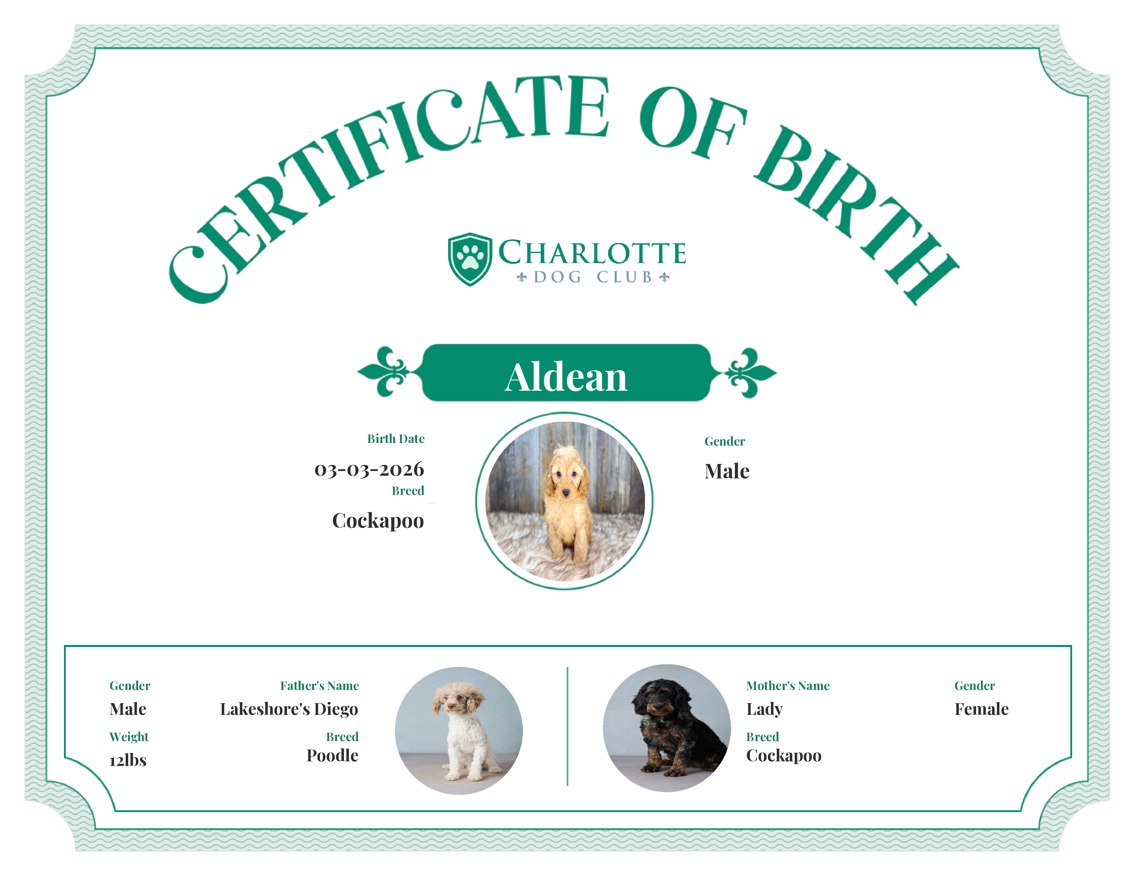 Aldean's Birth Certificate