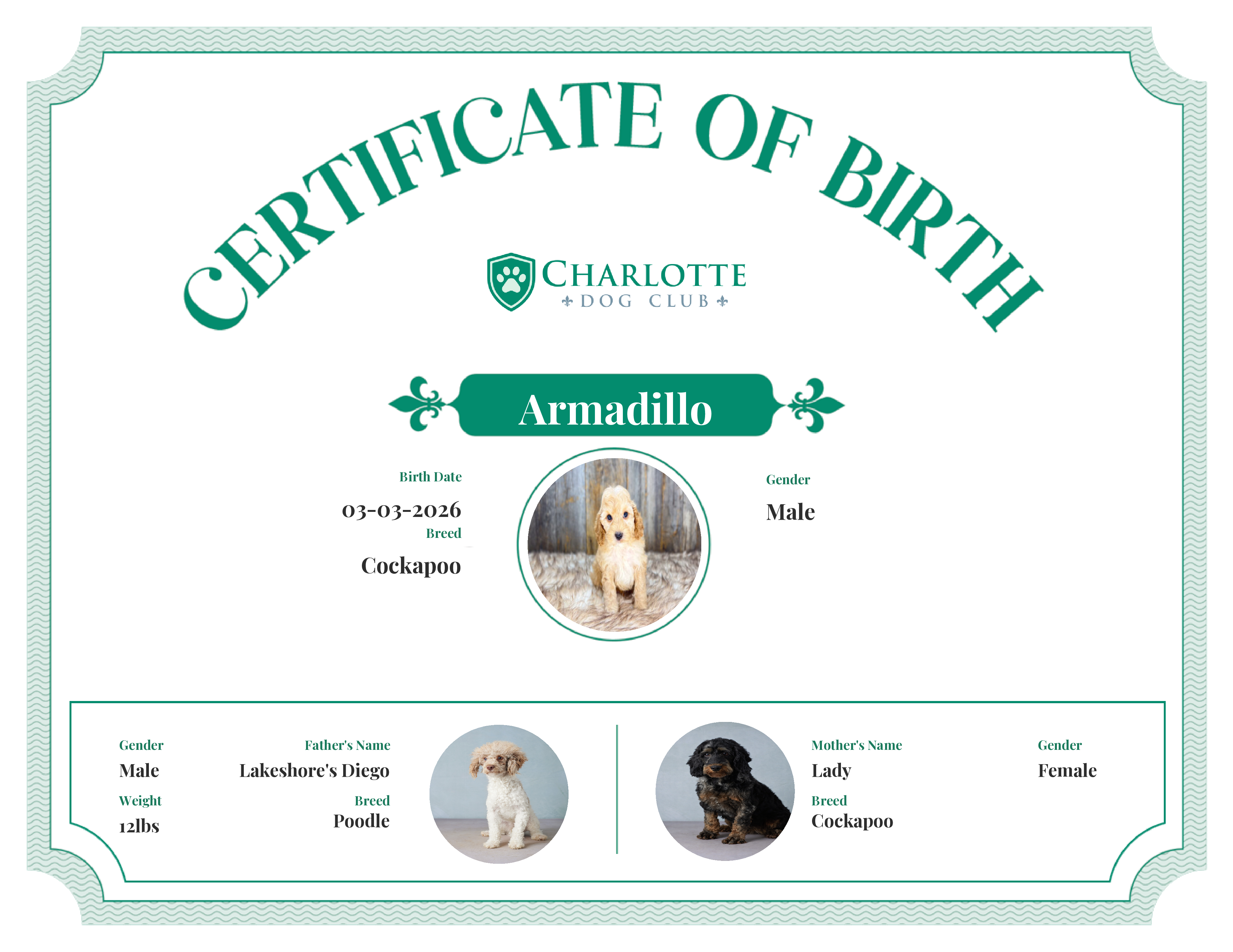 Armadillo's Birth Certificate
