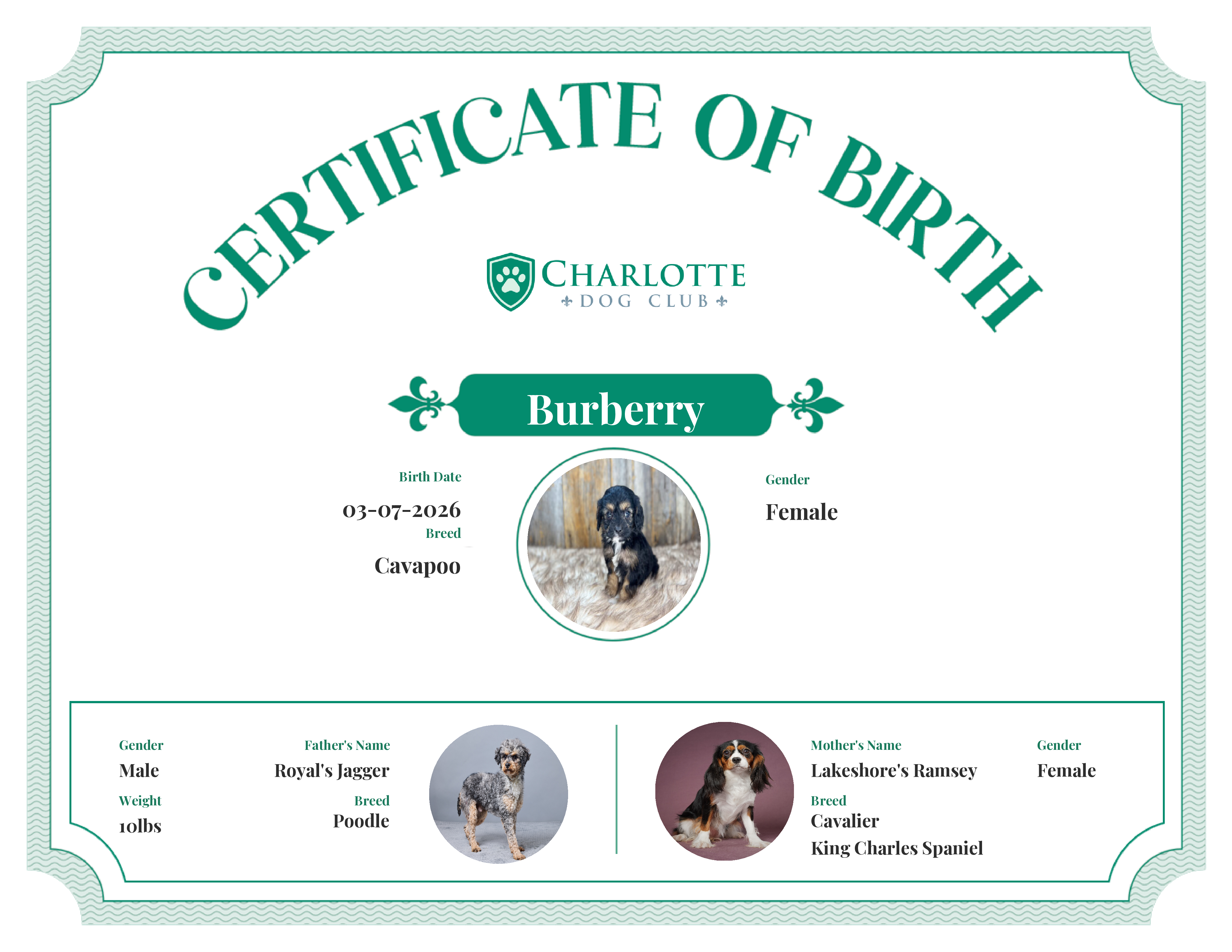Burberry's Birth Certificate