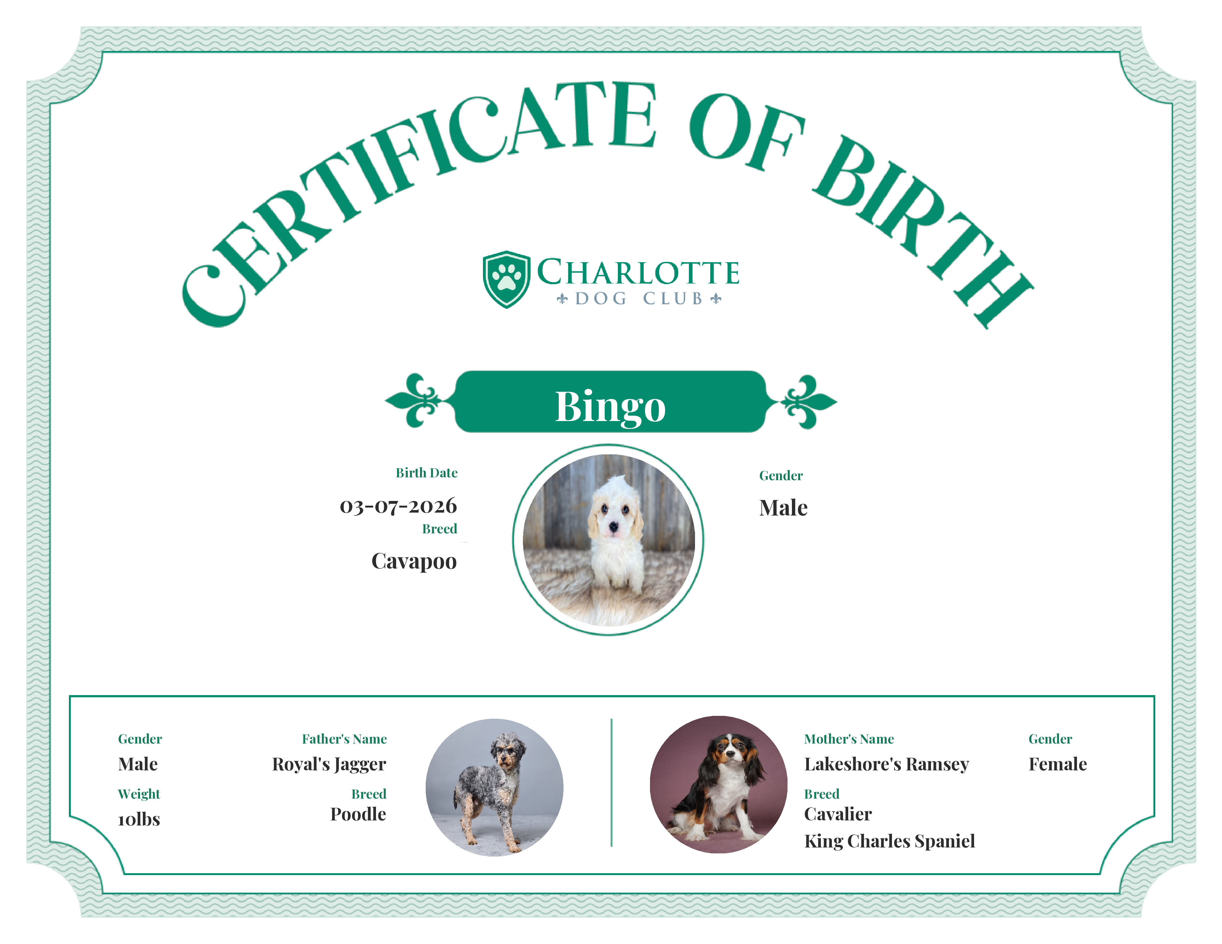 Bingo's Birth Certificate