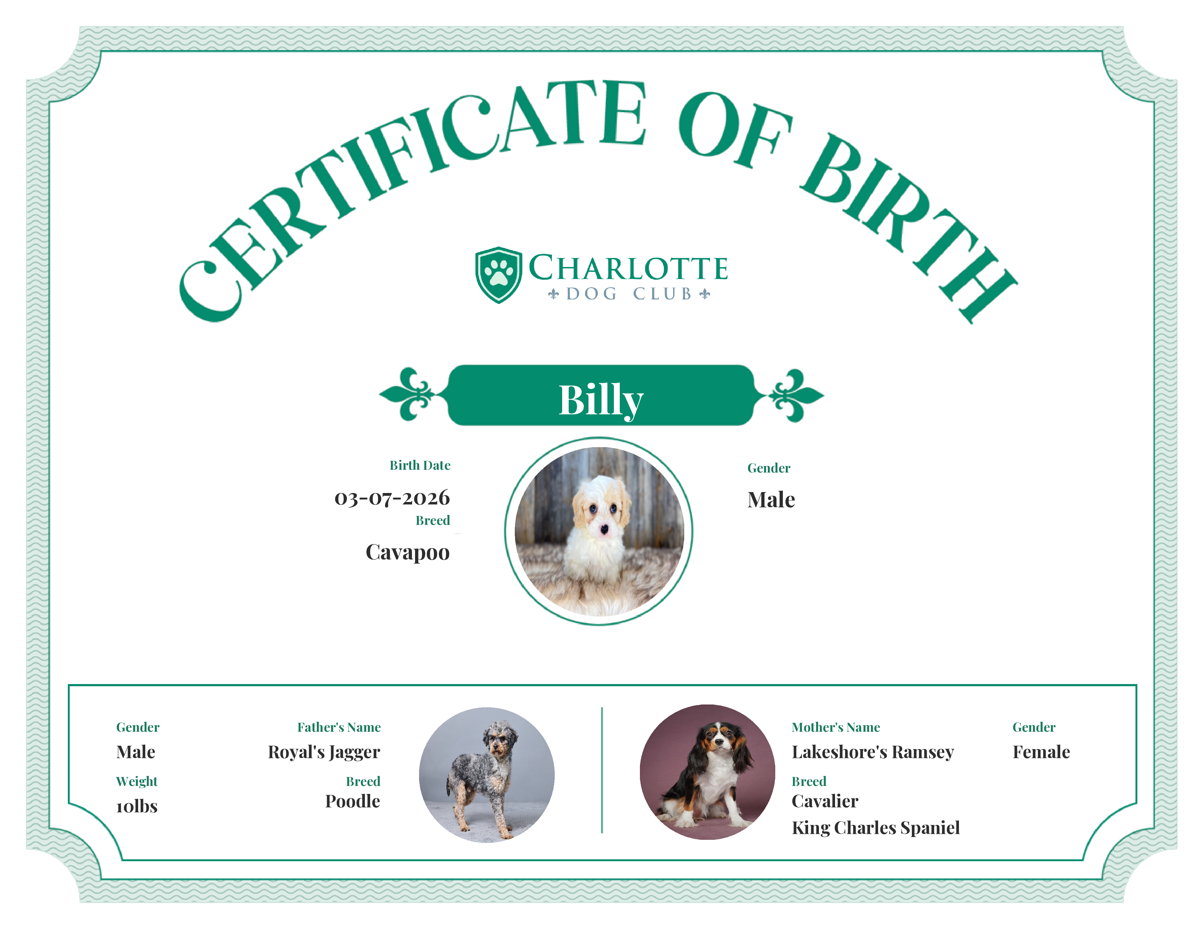 Billy's Birth Certificate