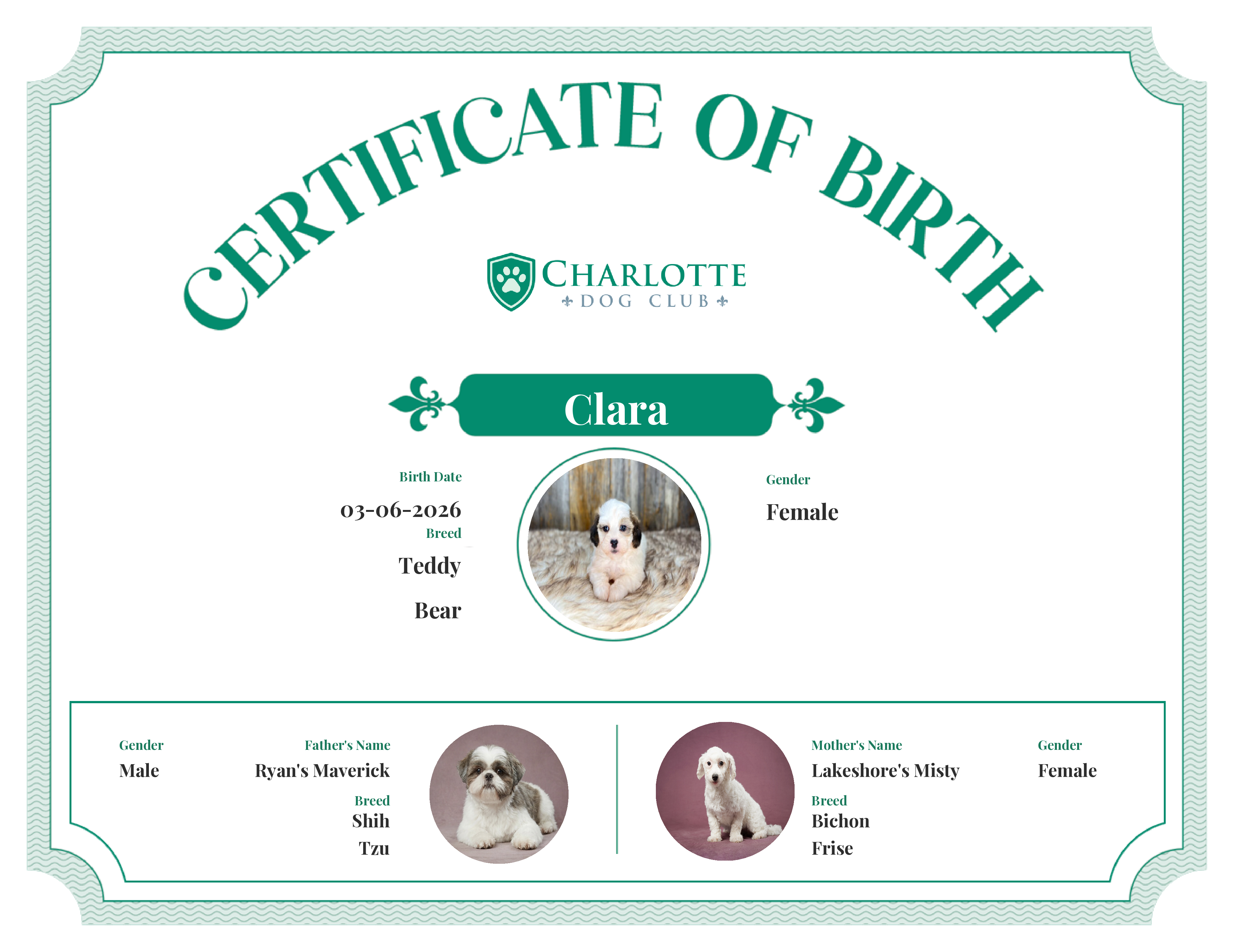Clara's Birth Certificate