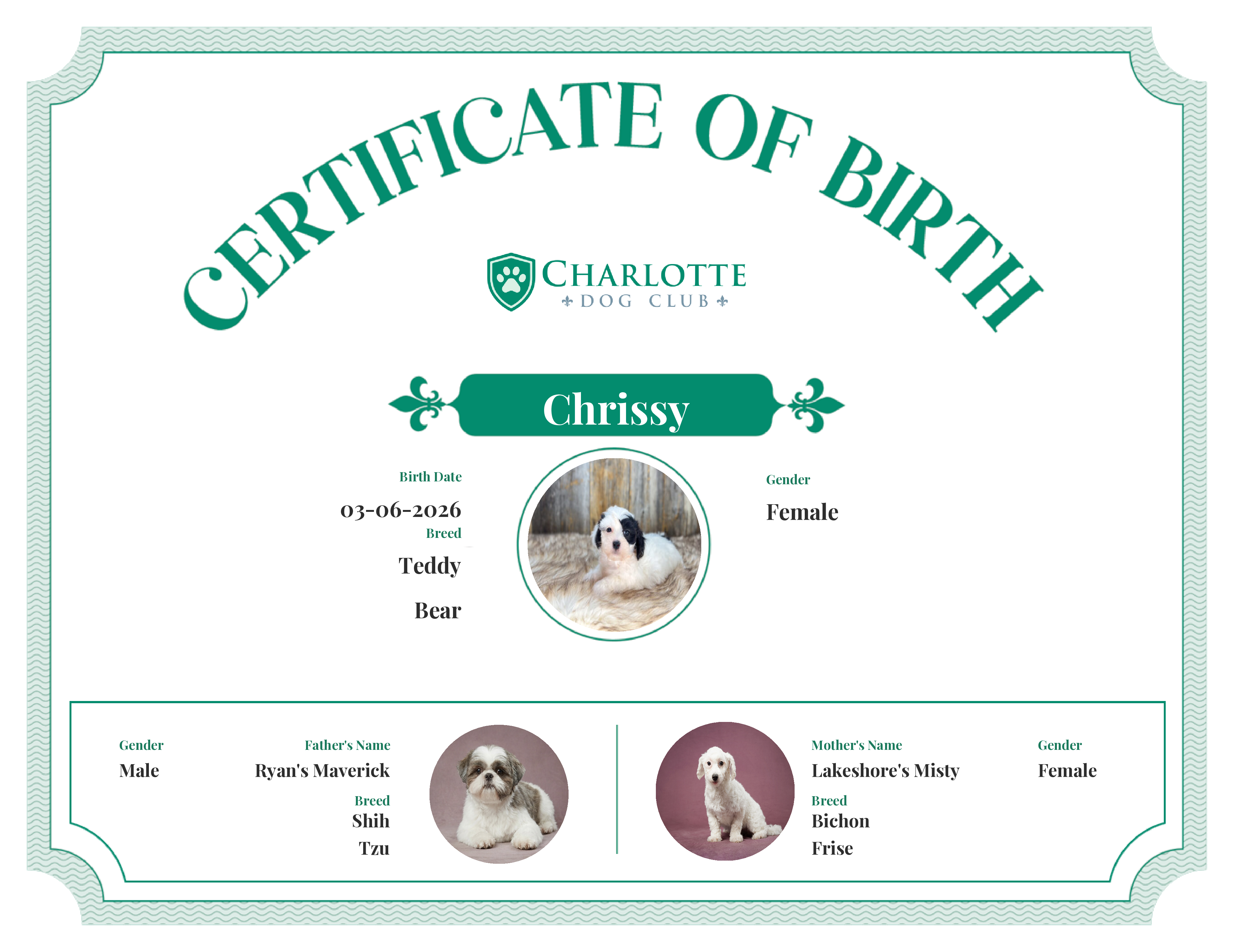 Chrissy's Birth Certificate