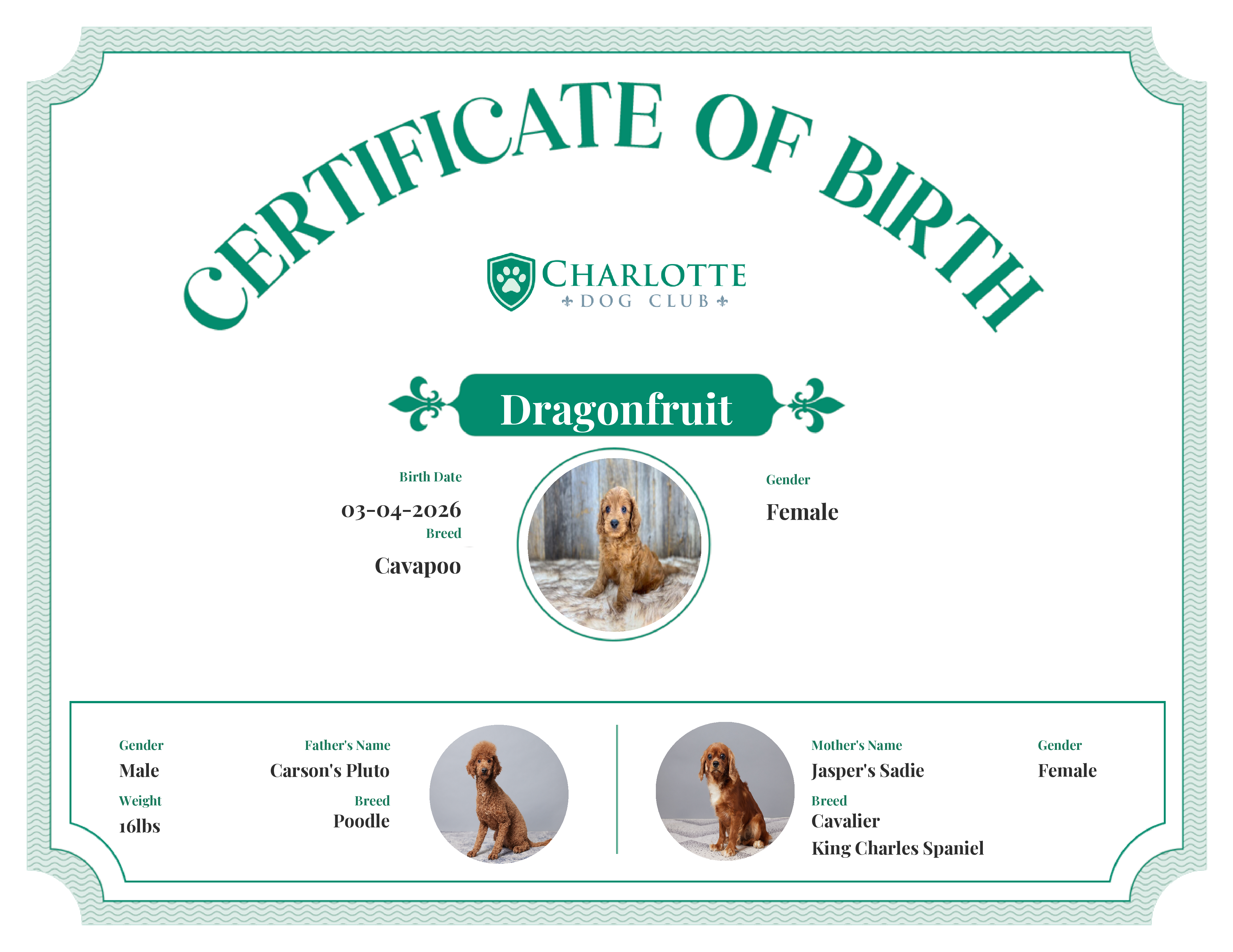 Dragonfruit's Birth Certificate