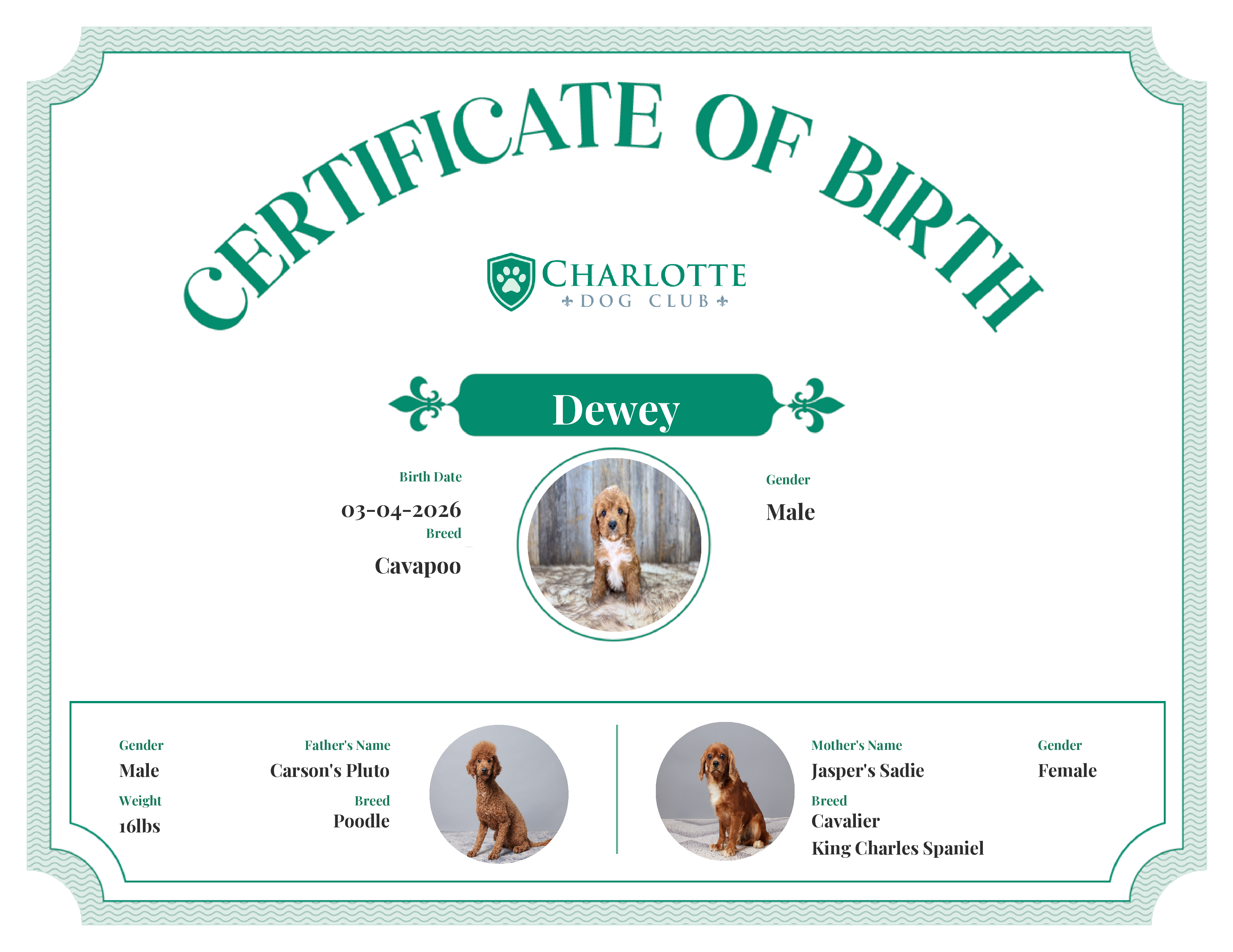 Dewey's Birth Certificate