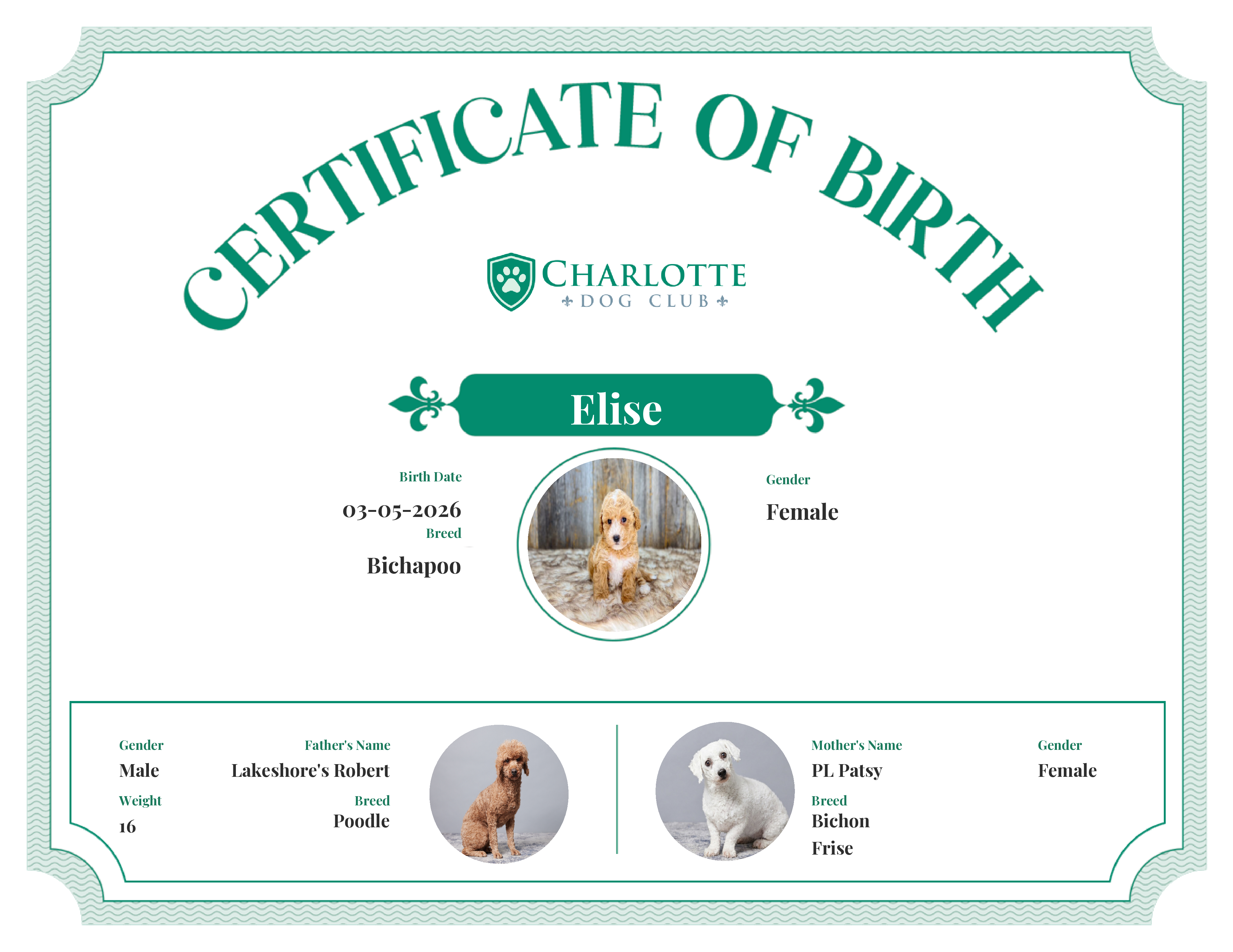 Elise's Birth Certificate